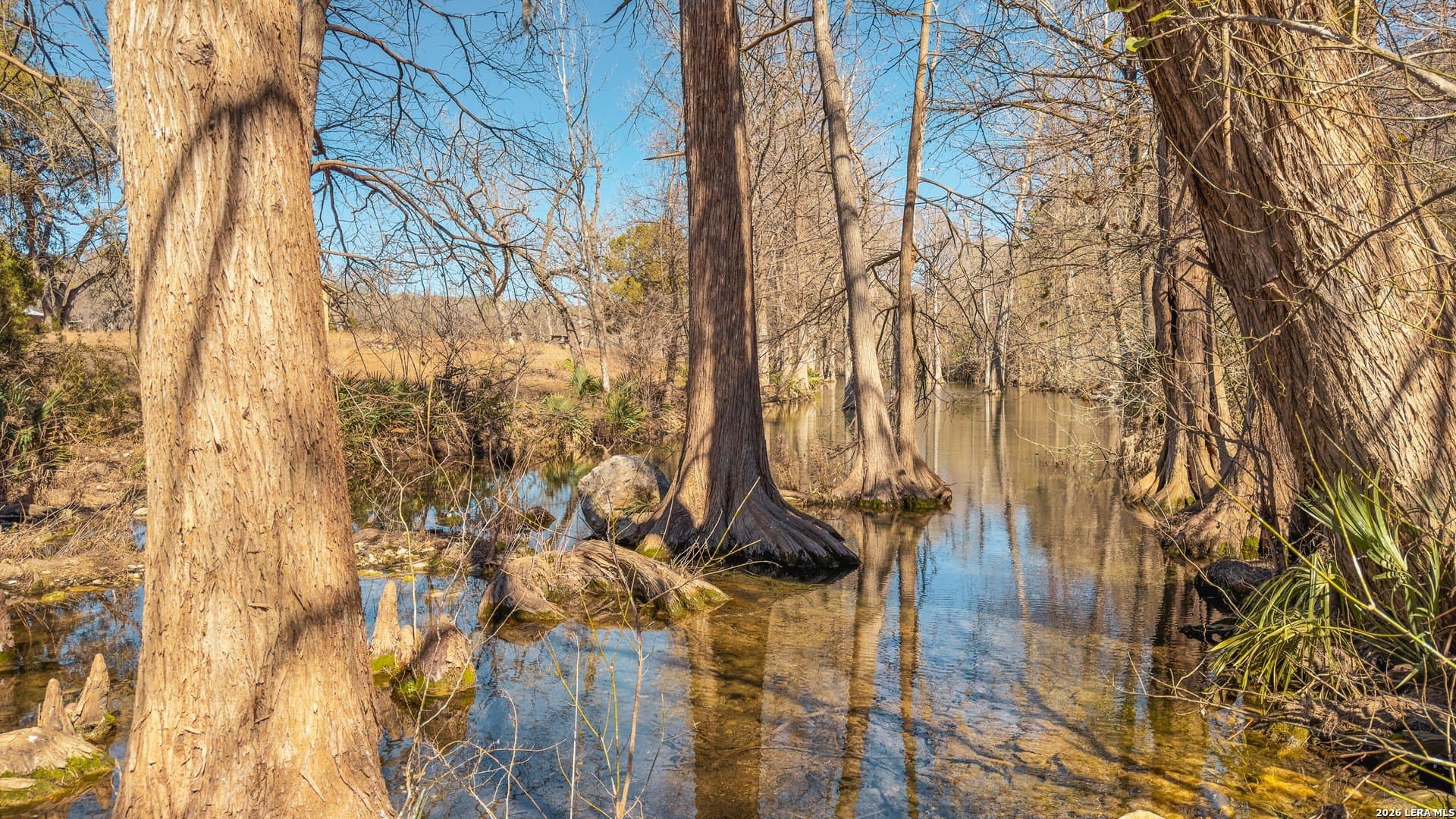 0.3 acres in Comal County - photo 17