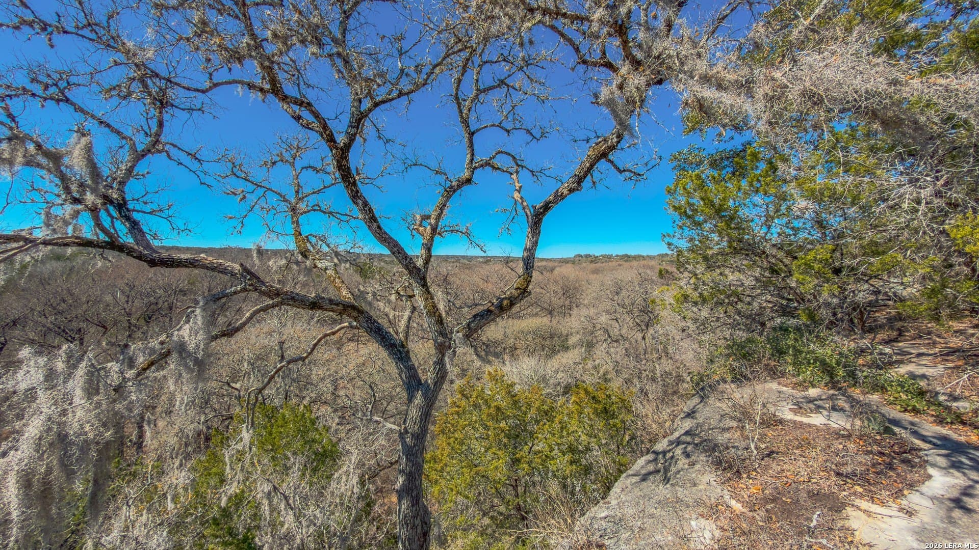 0.3 acres in Comal County - photo 8
