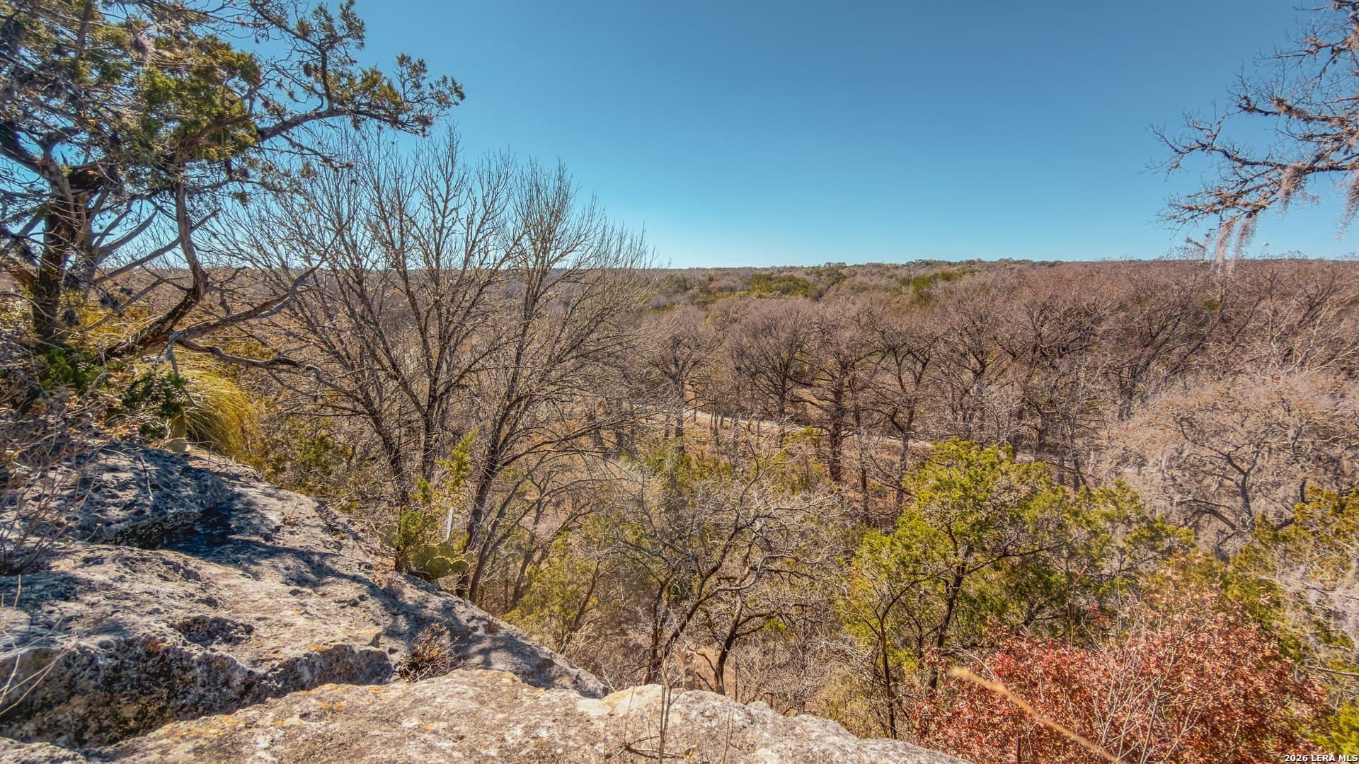 0.3 acres in Comal County - photo 12