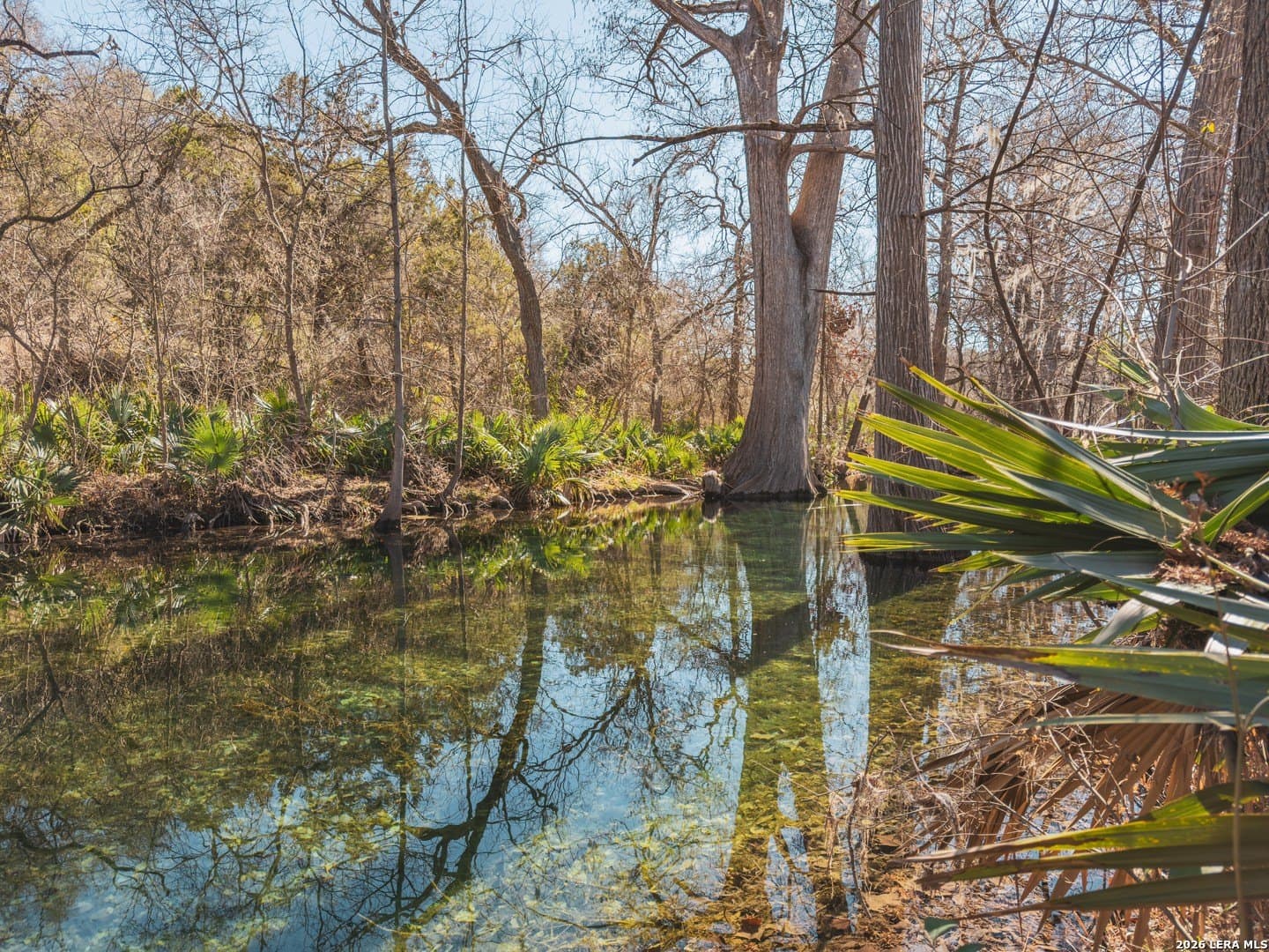 0.3 acres in Comal County - photo 14