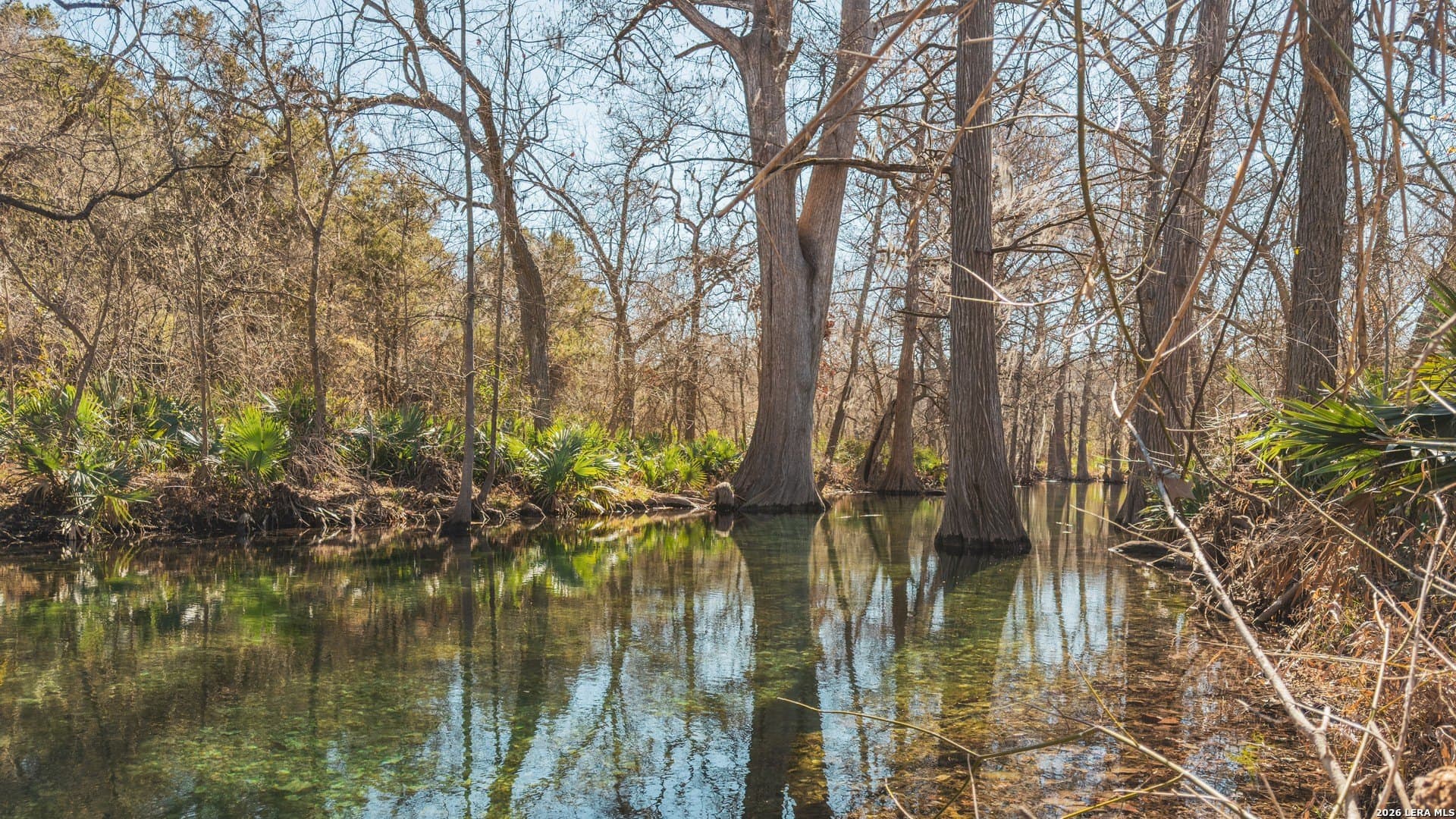 0.3 acres in Comal County - photo 15