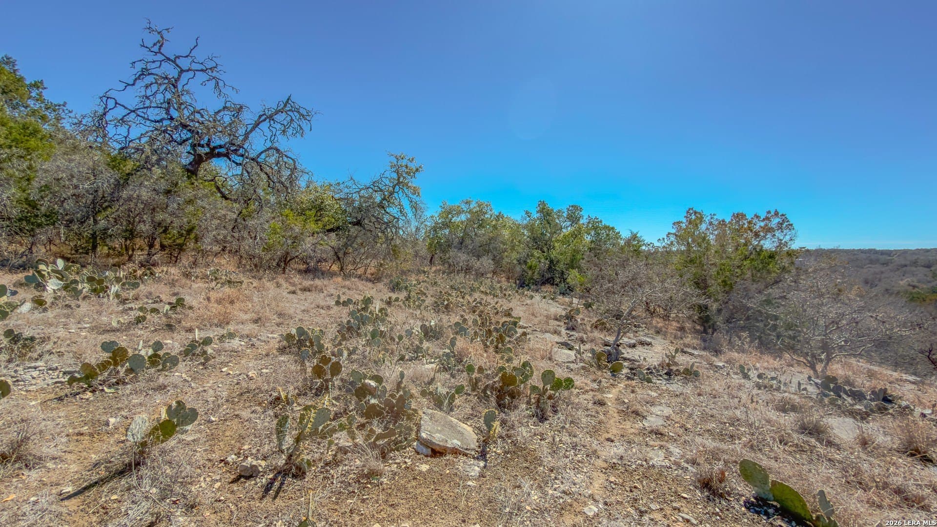 0.3 acres in Comal County - photo 6