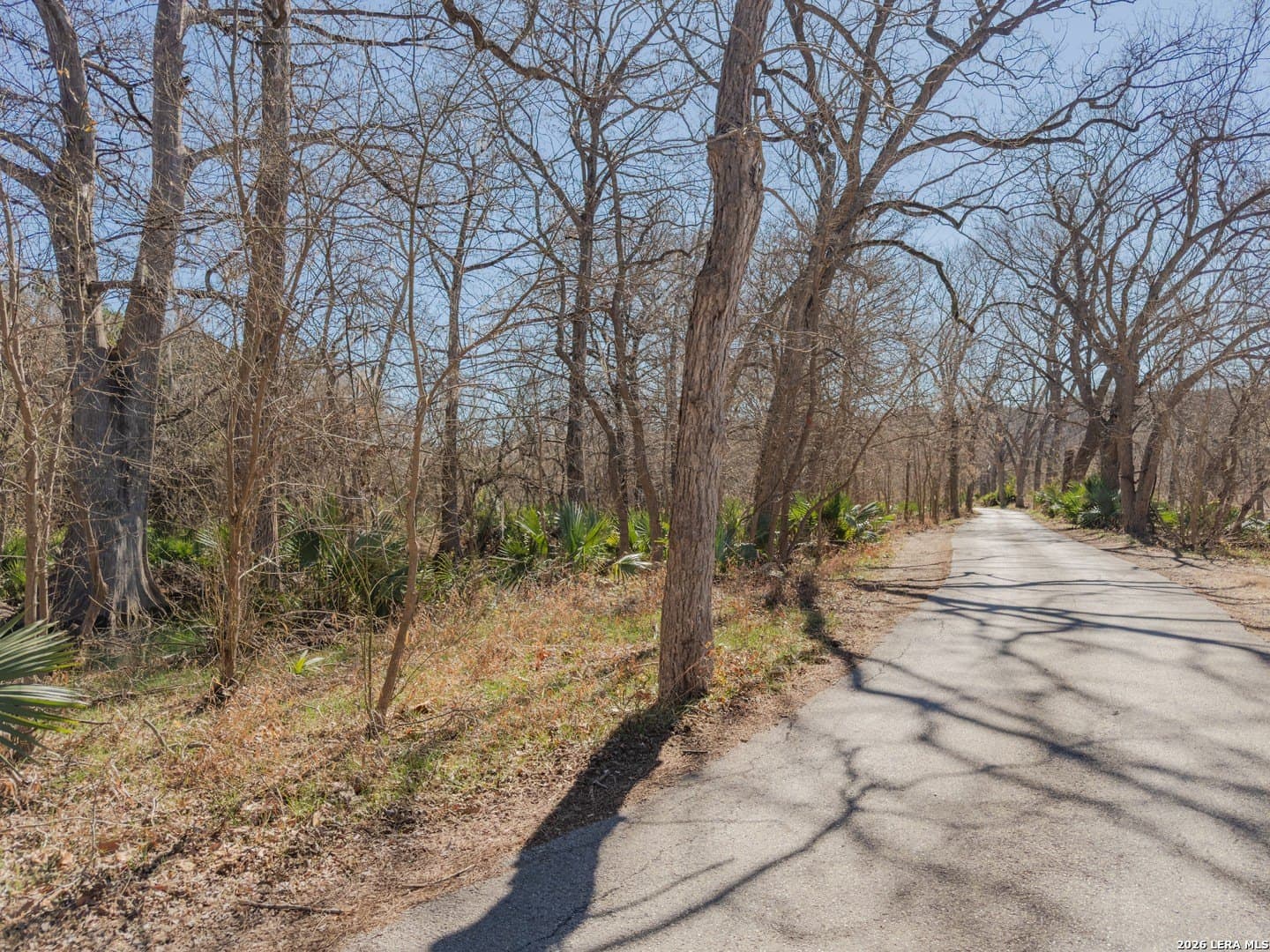 0.3 acres in Comal County - photo 13