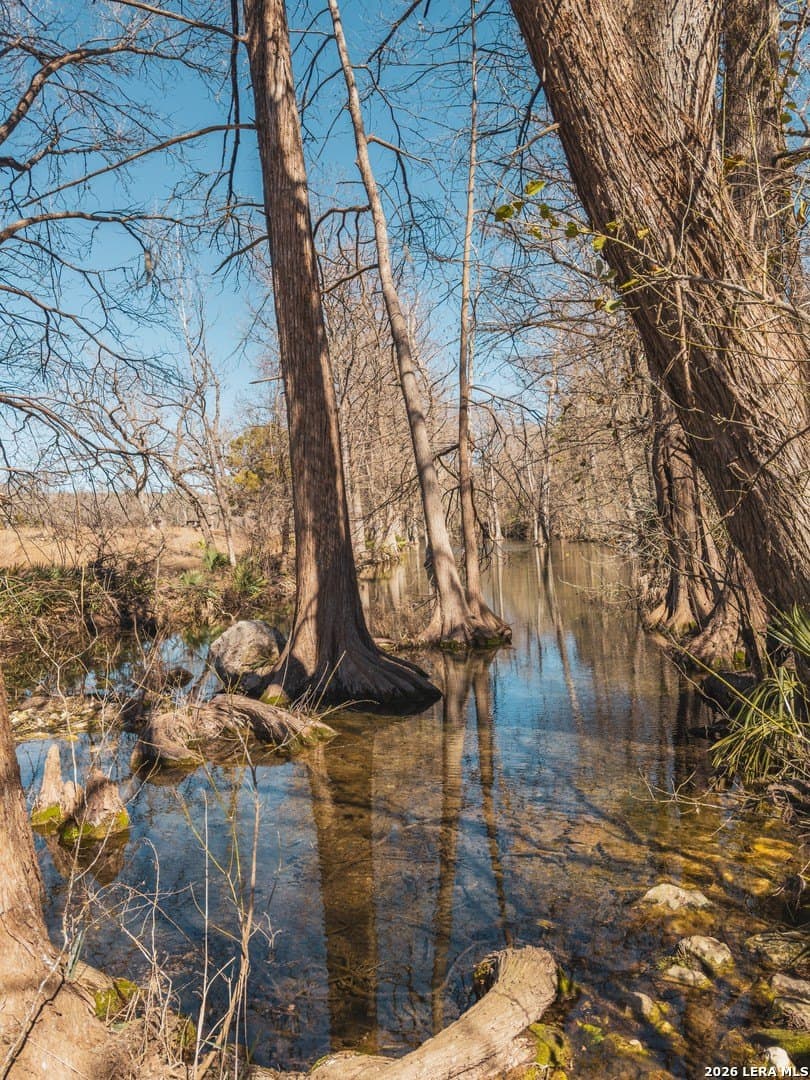 0.3 acres in Comal County - photo 16