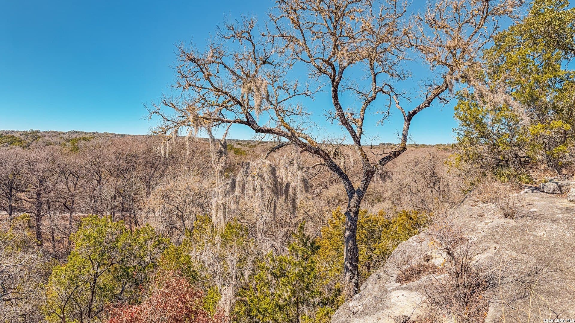 0.3 acres in Comal County - photo 11