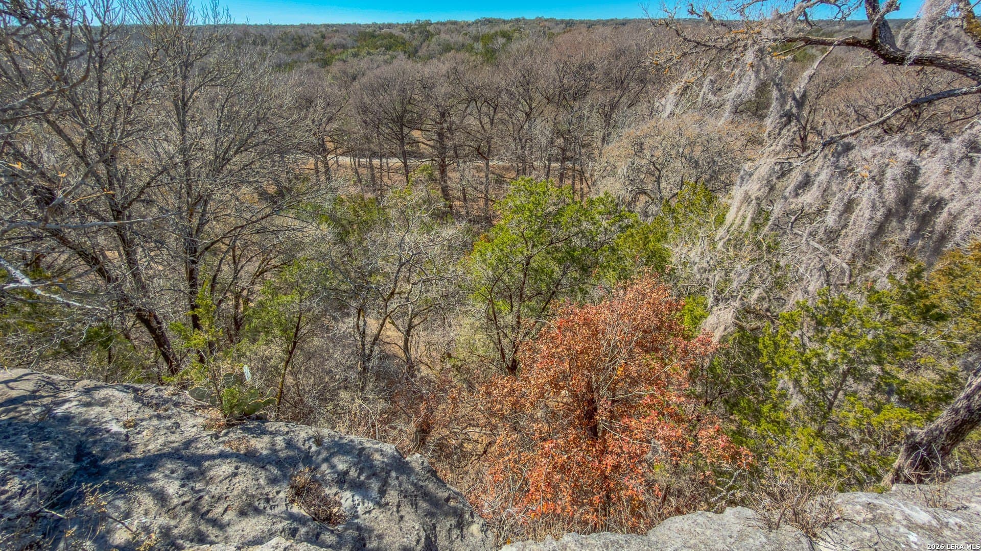 0.3 acres in Comal County - photo 9