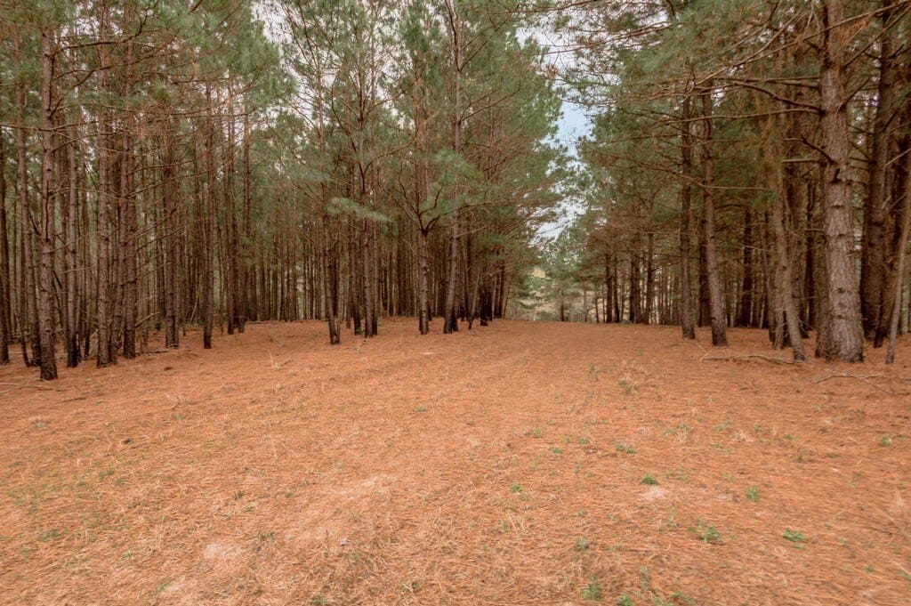 103.67 acres in Texas County - photo 8