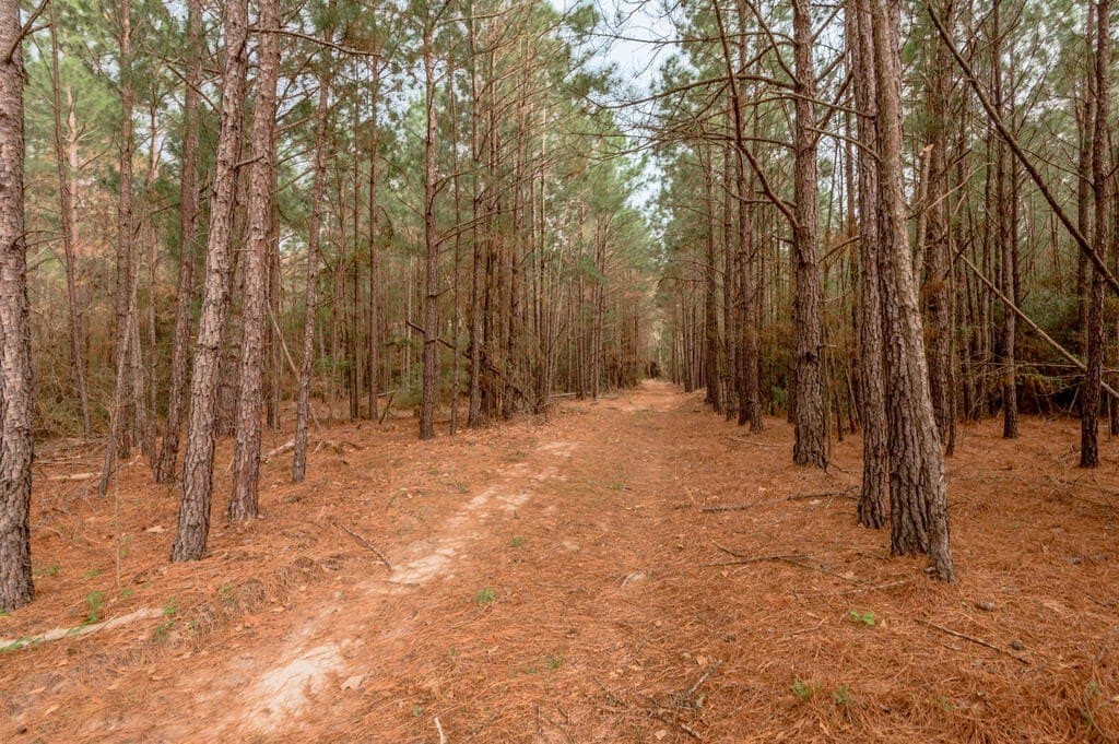 103.67 acres in Texas County - photo 5