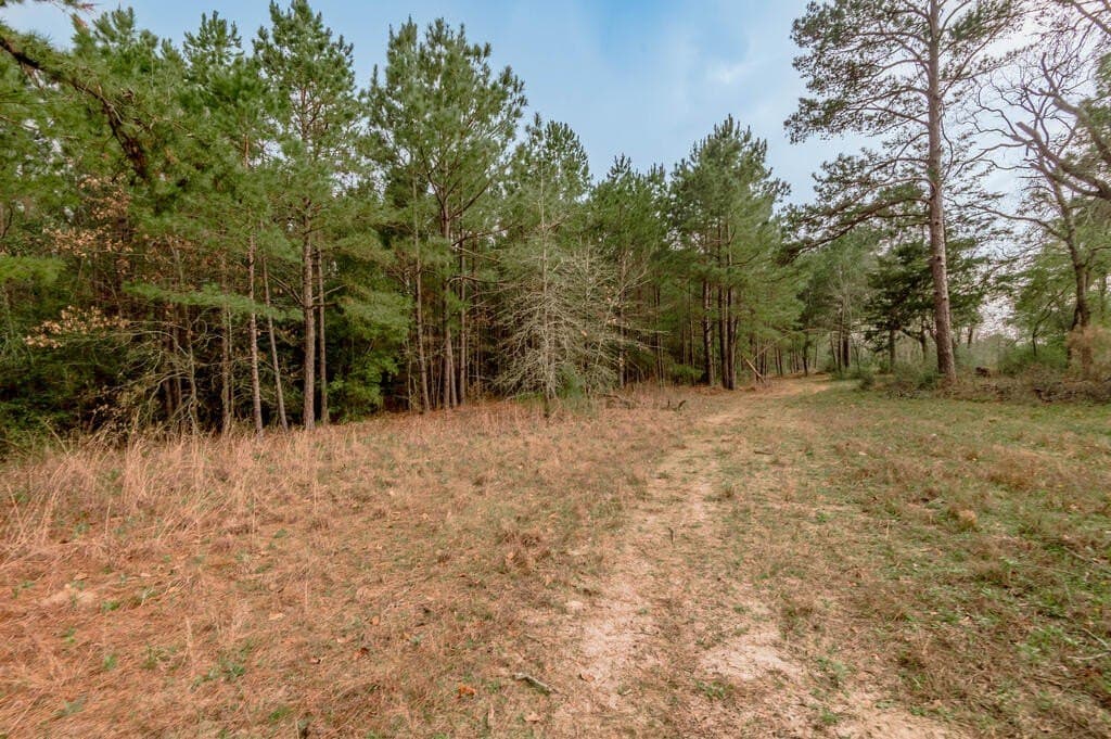 103.67 acres in Texas County - photo 7