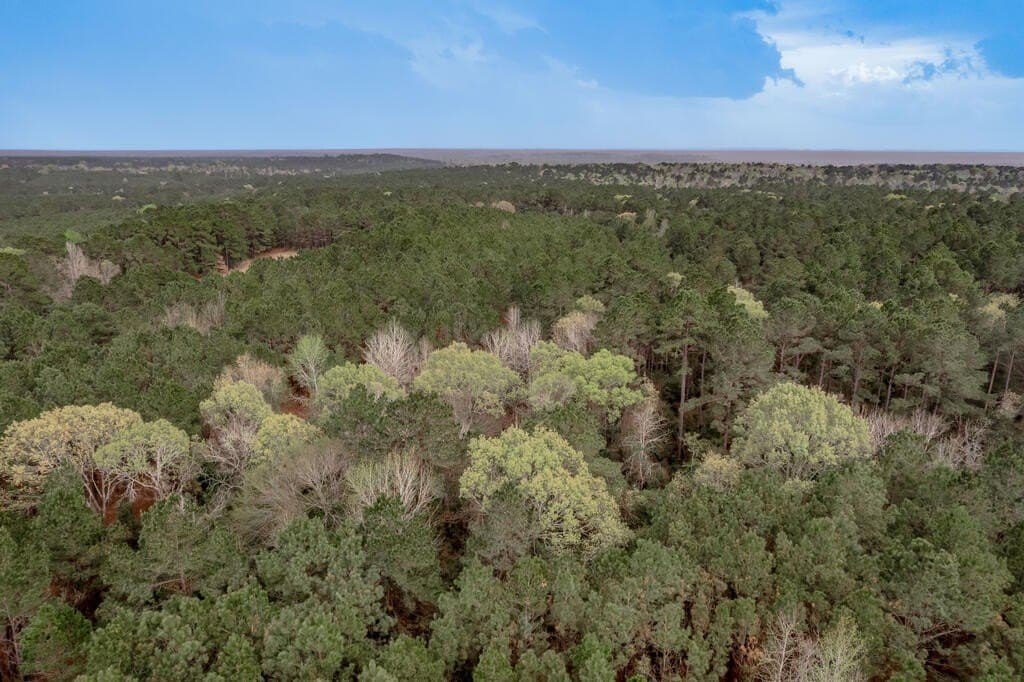 103.67 acres in Texas County - photo 10