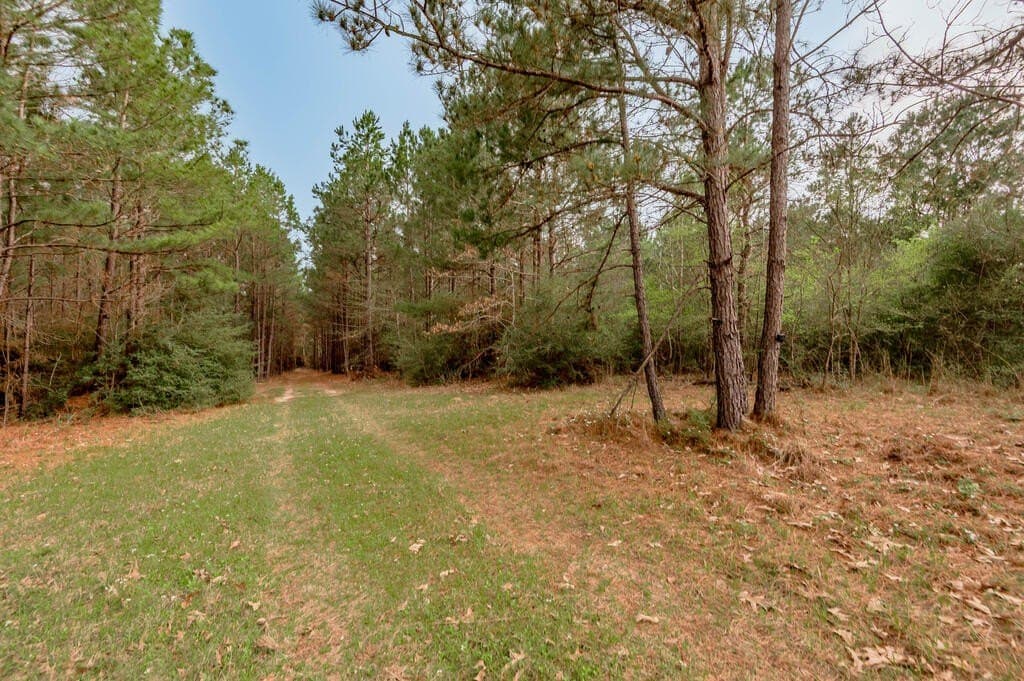 103.67 acres in Texas County - photo 3