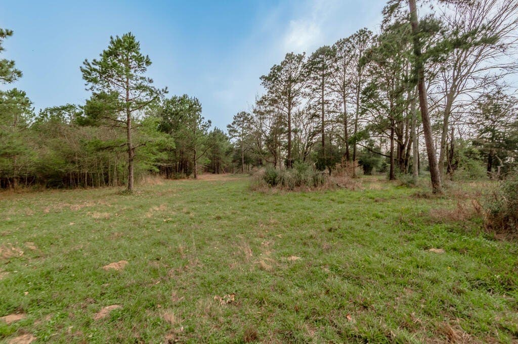 103.67 acres in Texas County - photo 2