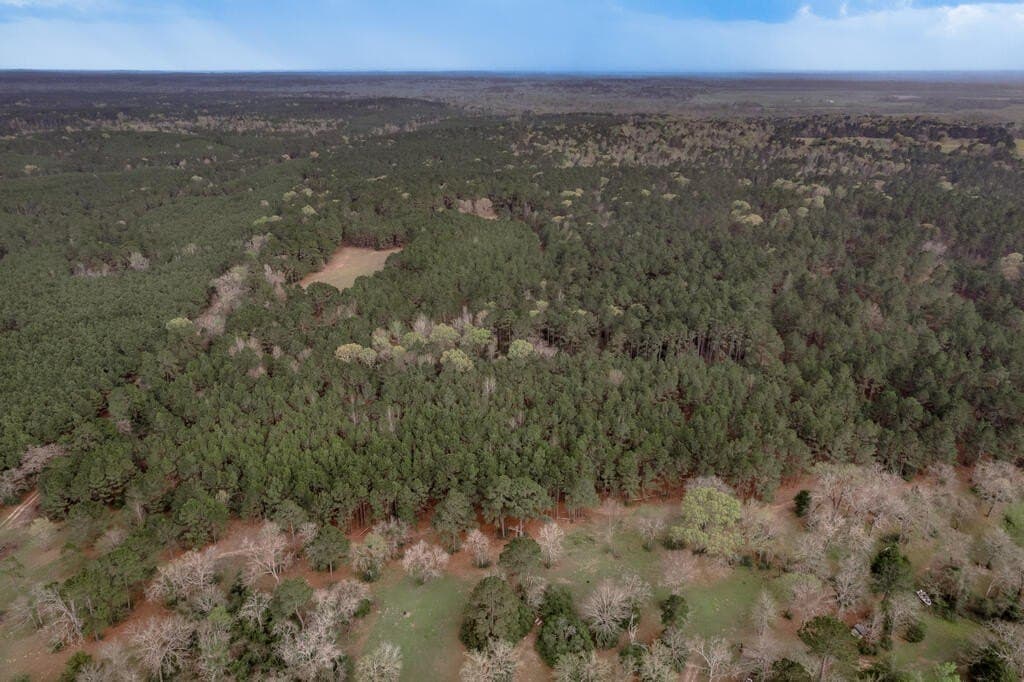 103.67 acres in Texas County - photo 13