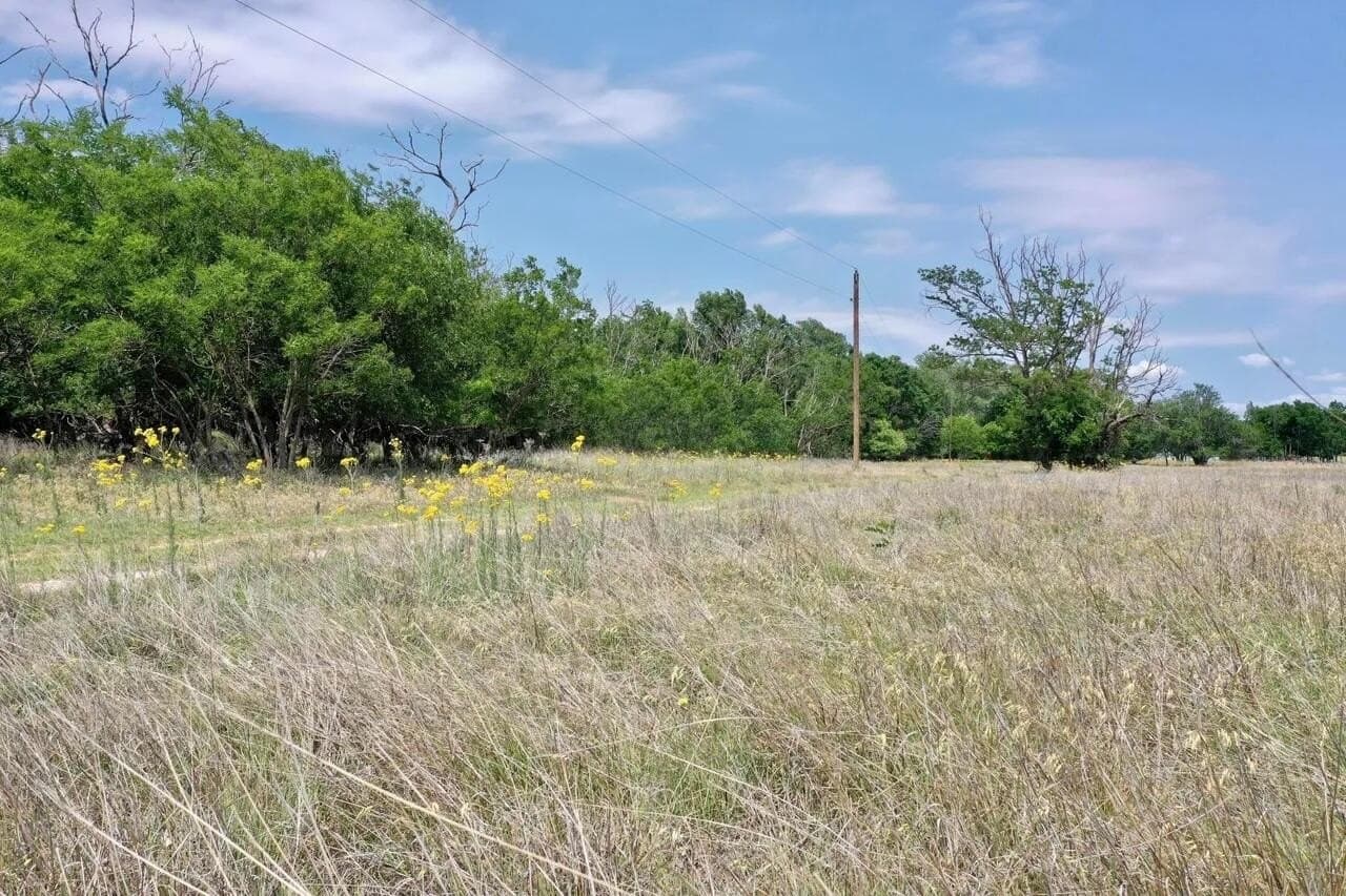 80.79 acres in Wheeler County gallery image 2