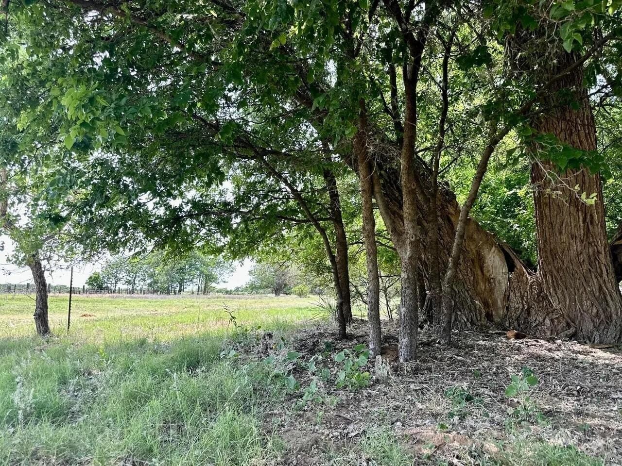 80.79 acres in Wheeler County gallery image 3