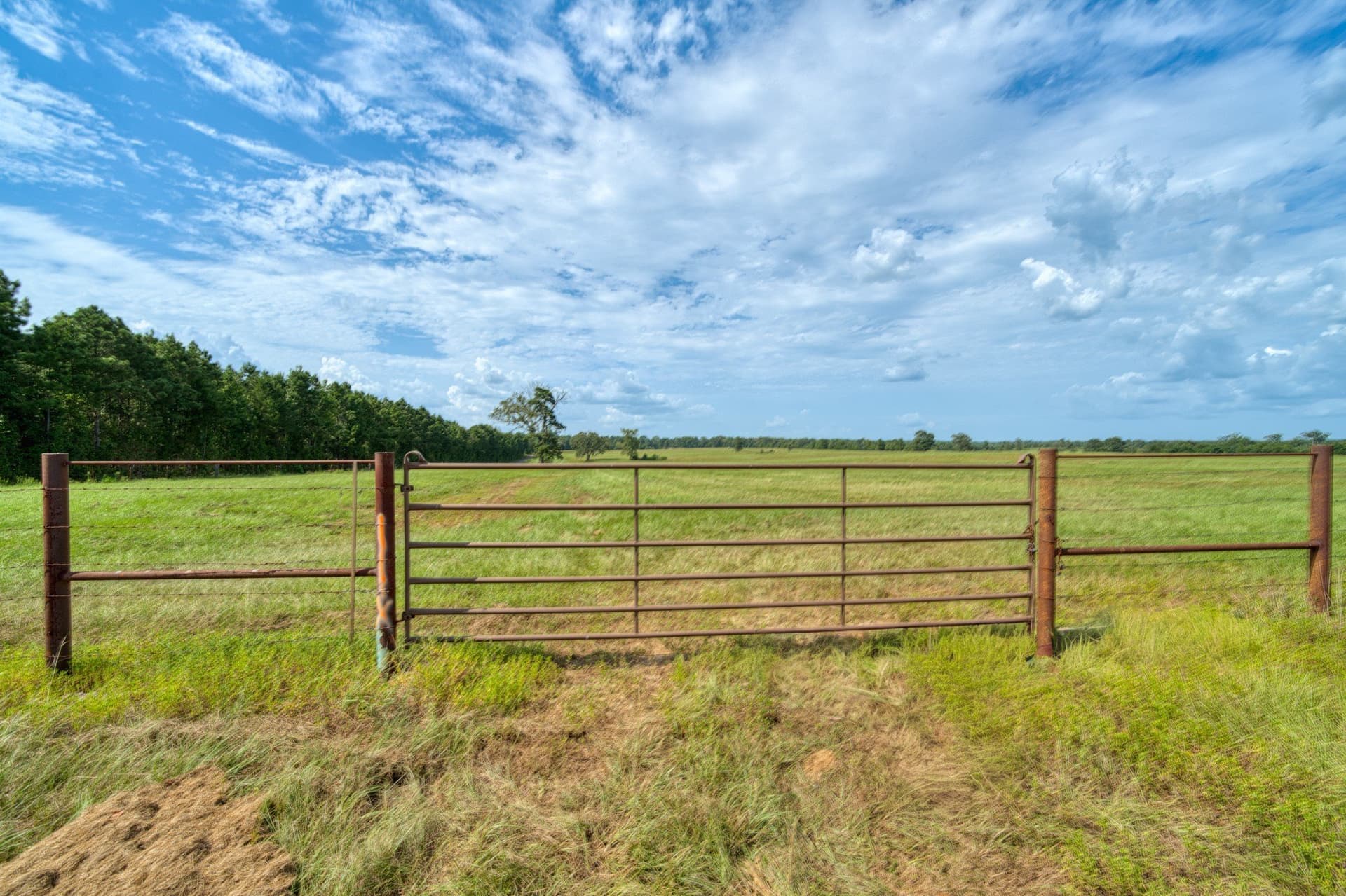 183.02 acres in Cass County - photo 34
