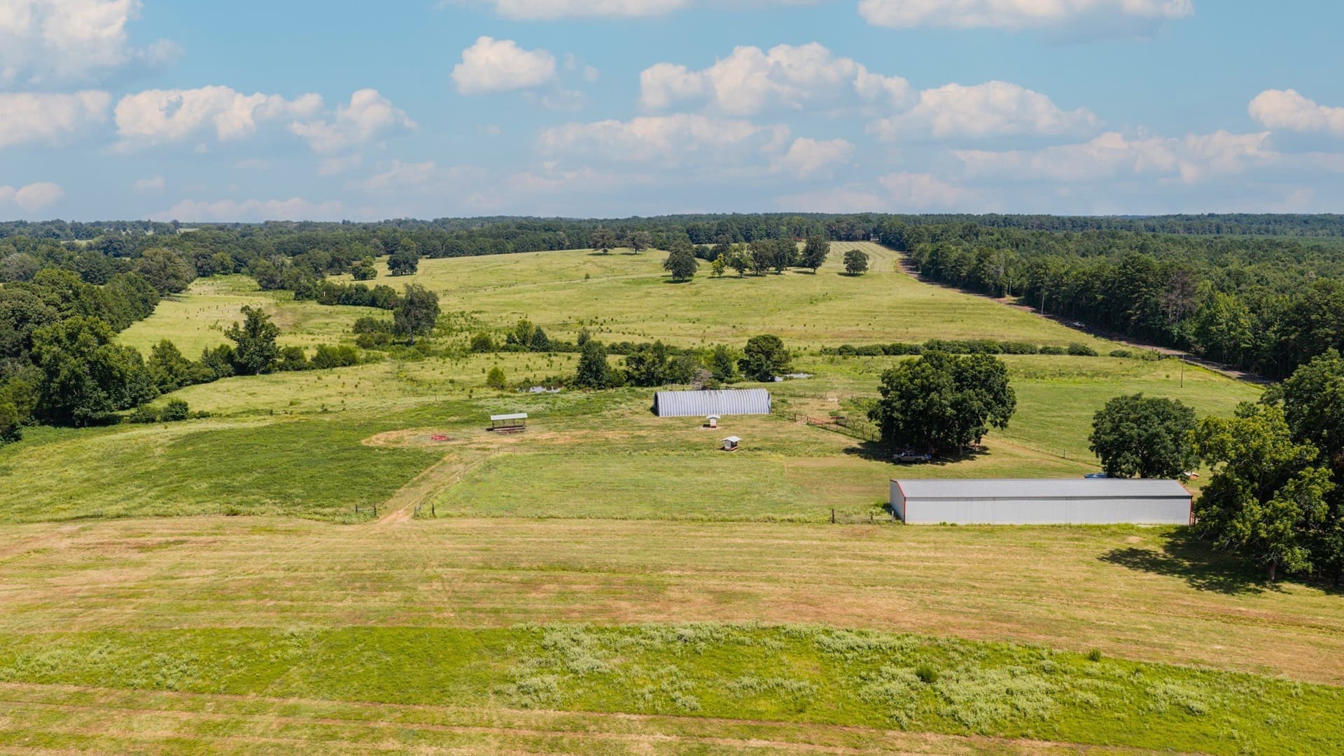 183.02 acres in Cass County - photo 13
