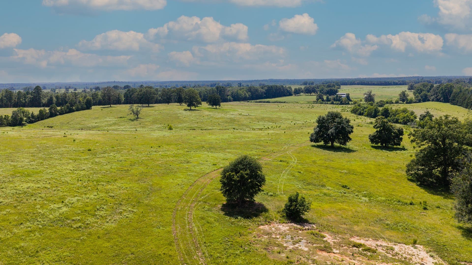 183.02 acres in Cass County - photo 8
