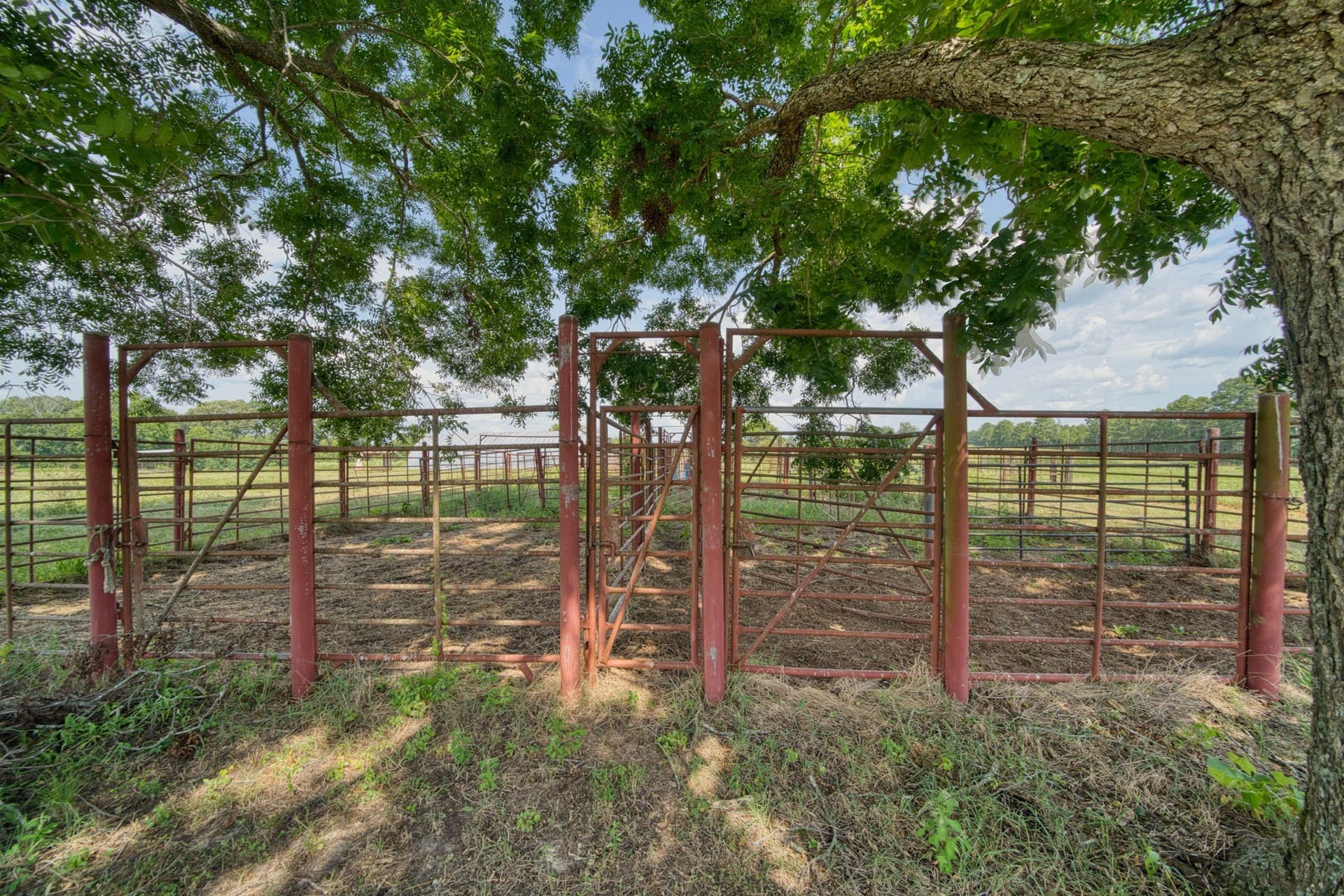 183.02 acres in Cass County - photo 22