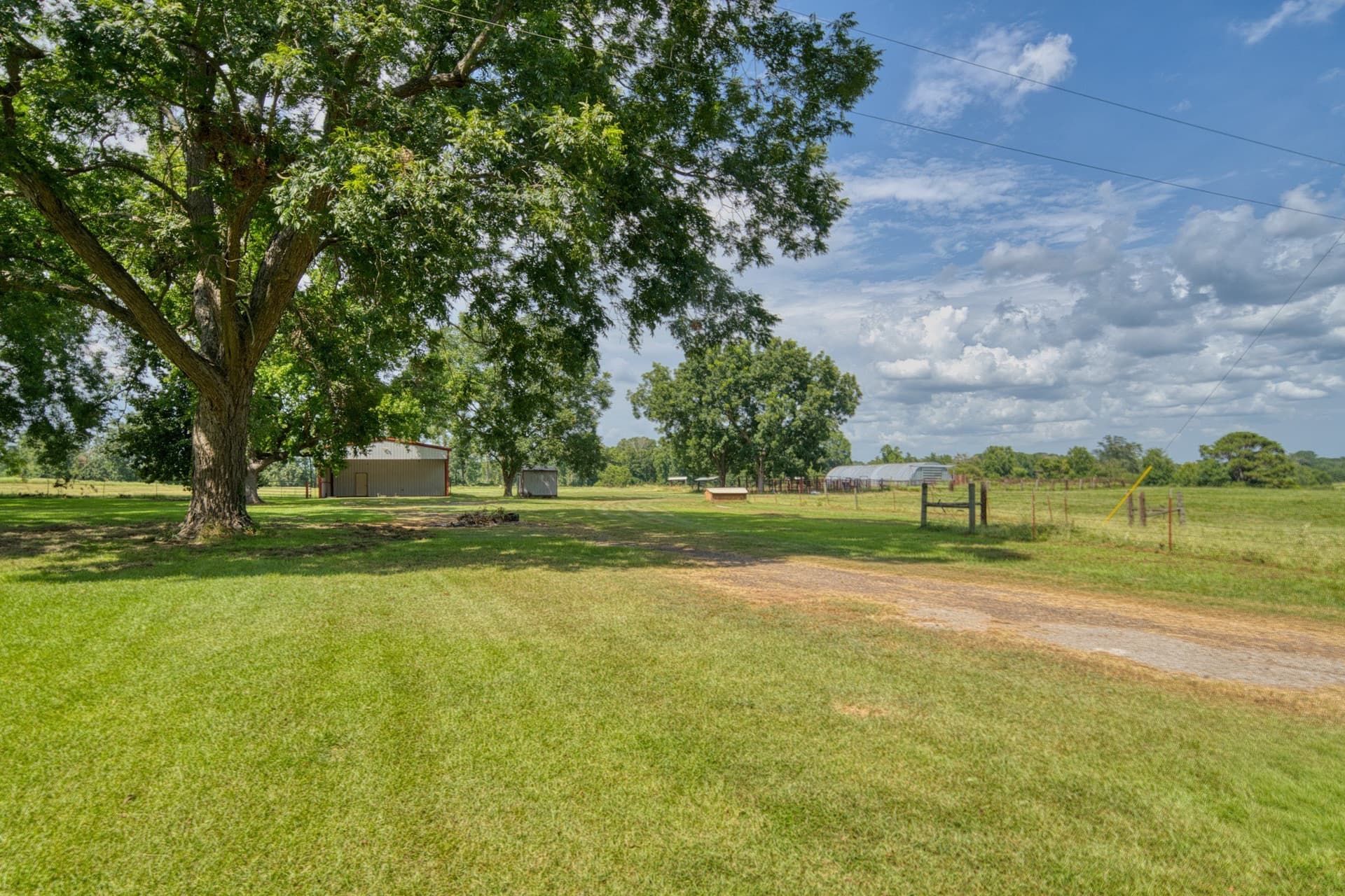 183.02 acres in Cass County - photo 7