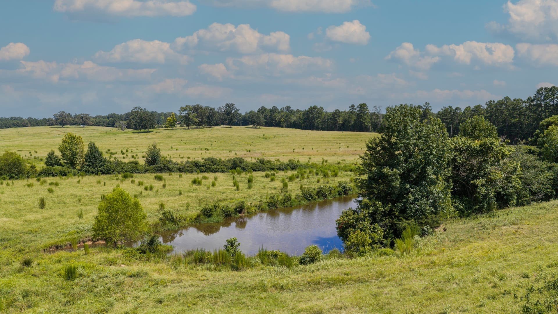 183.02 acres in Cass County - photo 11