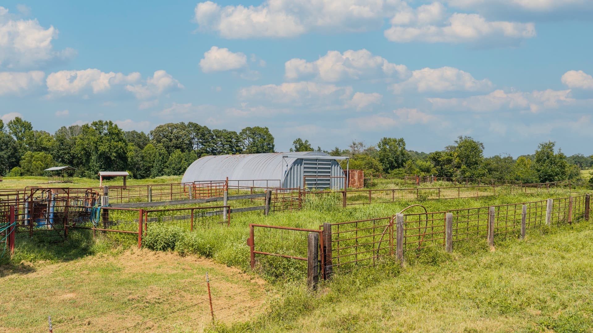 183.02 acres in Cass County - photo 17