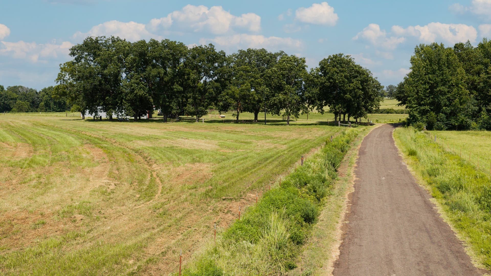 183.02 acres in Cass County - photo 24