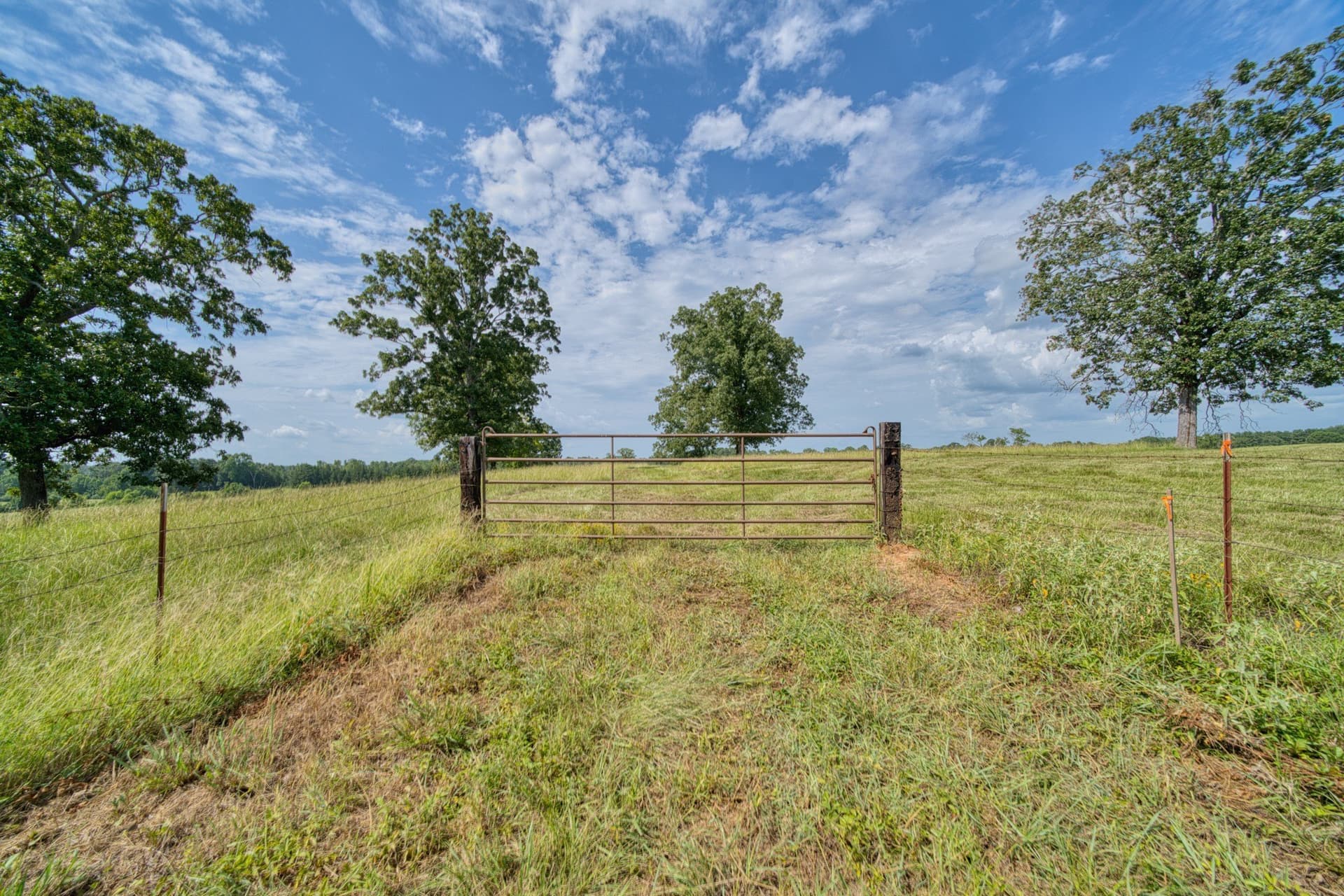 183.02 acres in Cass County - photo 32