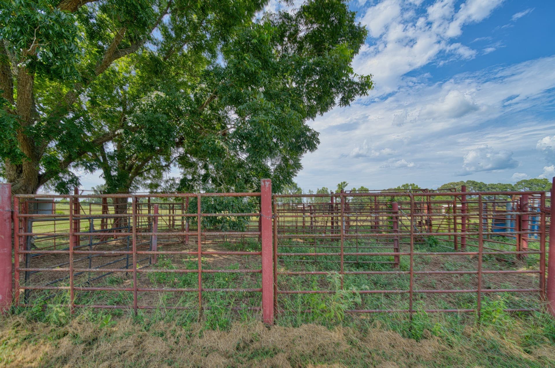 183.02 acres in Cass County - photo 21