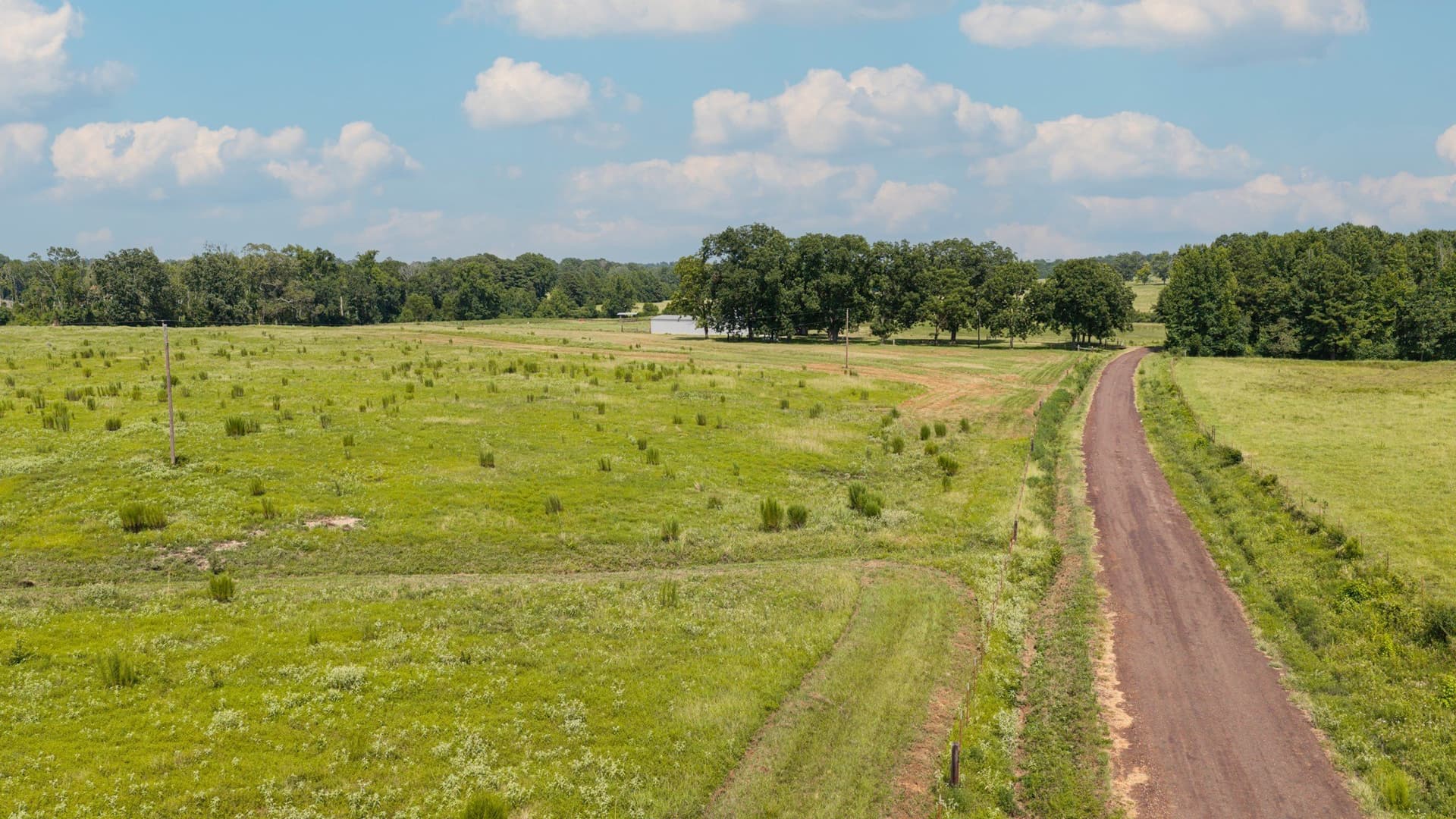 183.02 acres in Cass County - photo 23