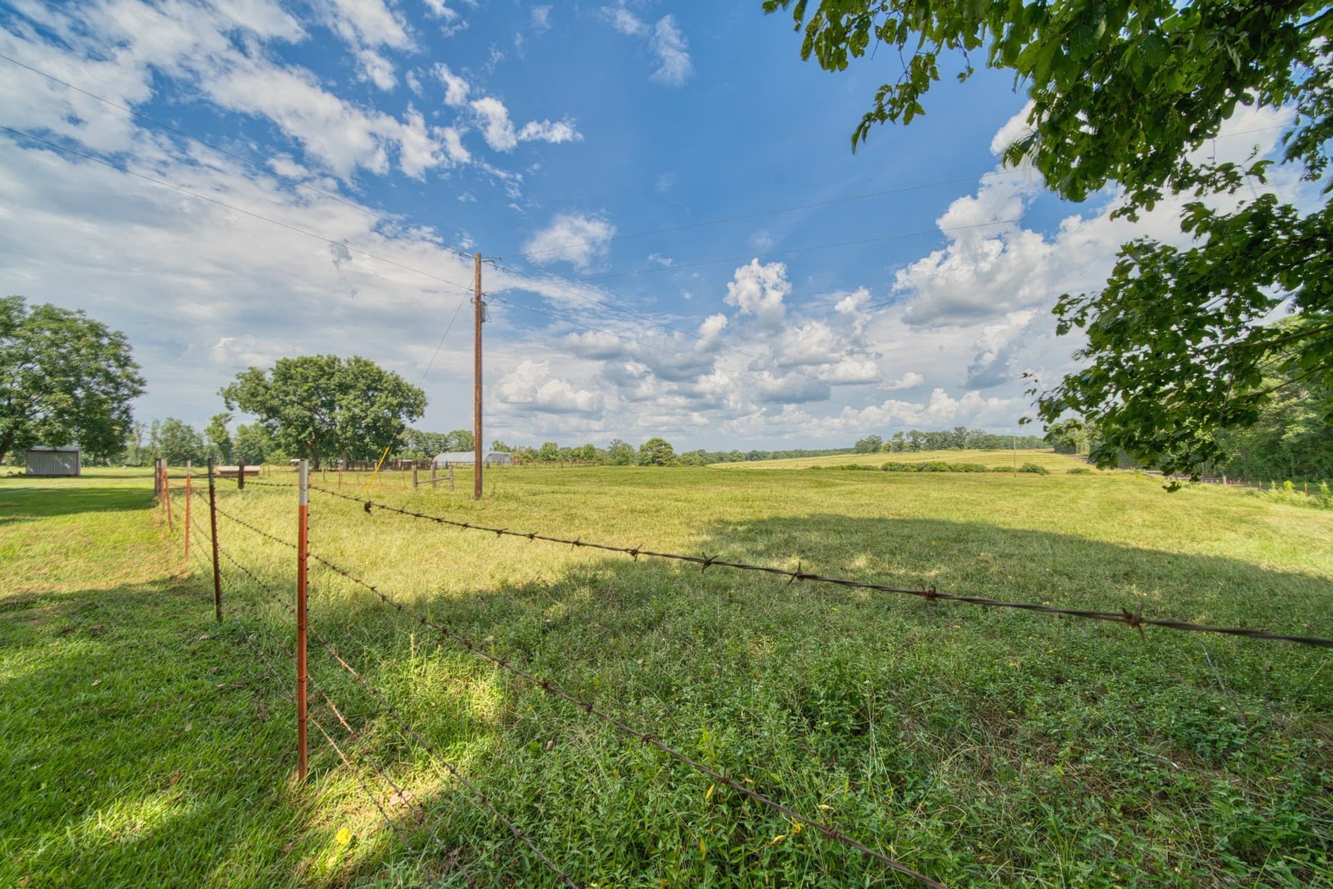 183.02 acres in Cass County - photo 31