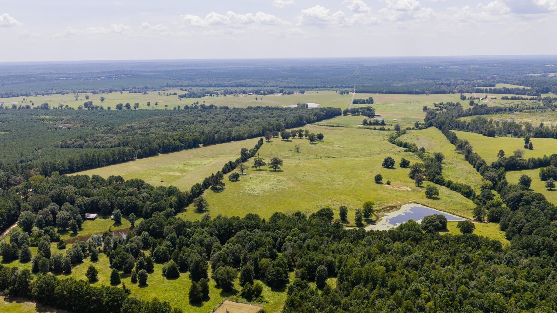 183.02 acres in Cass County gallery image 4