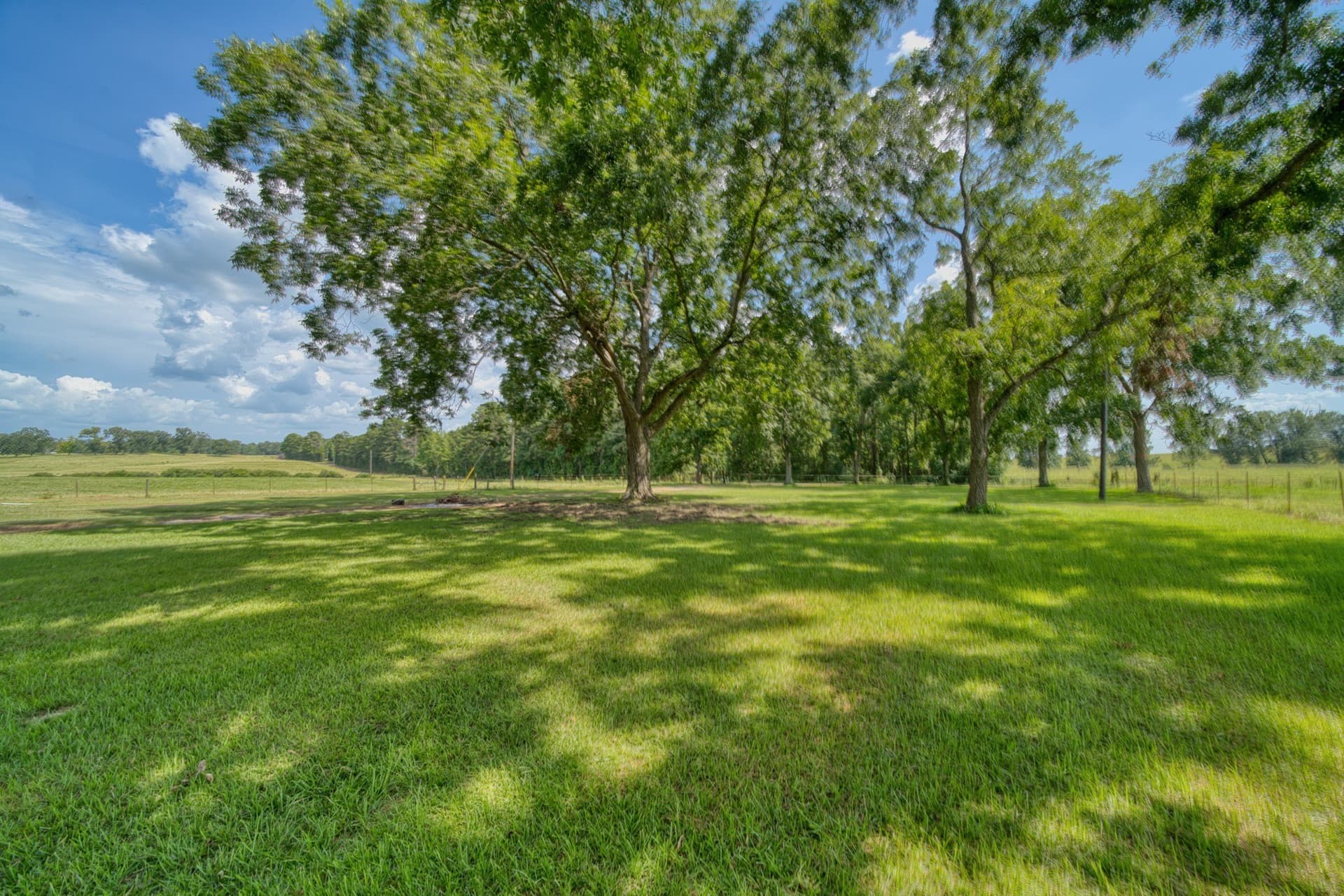 183.02 acres in Cass County - photo 27