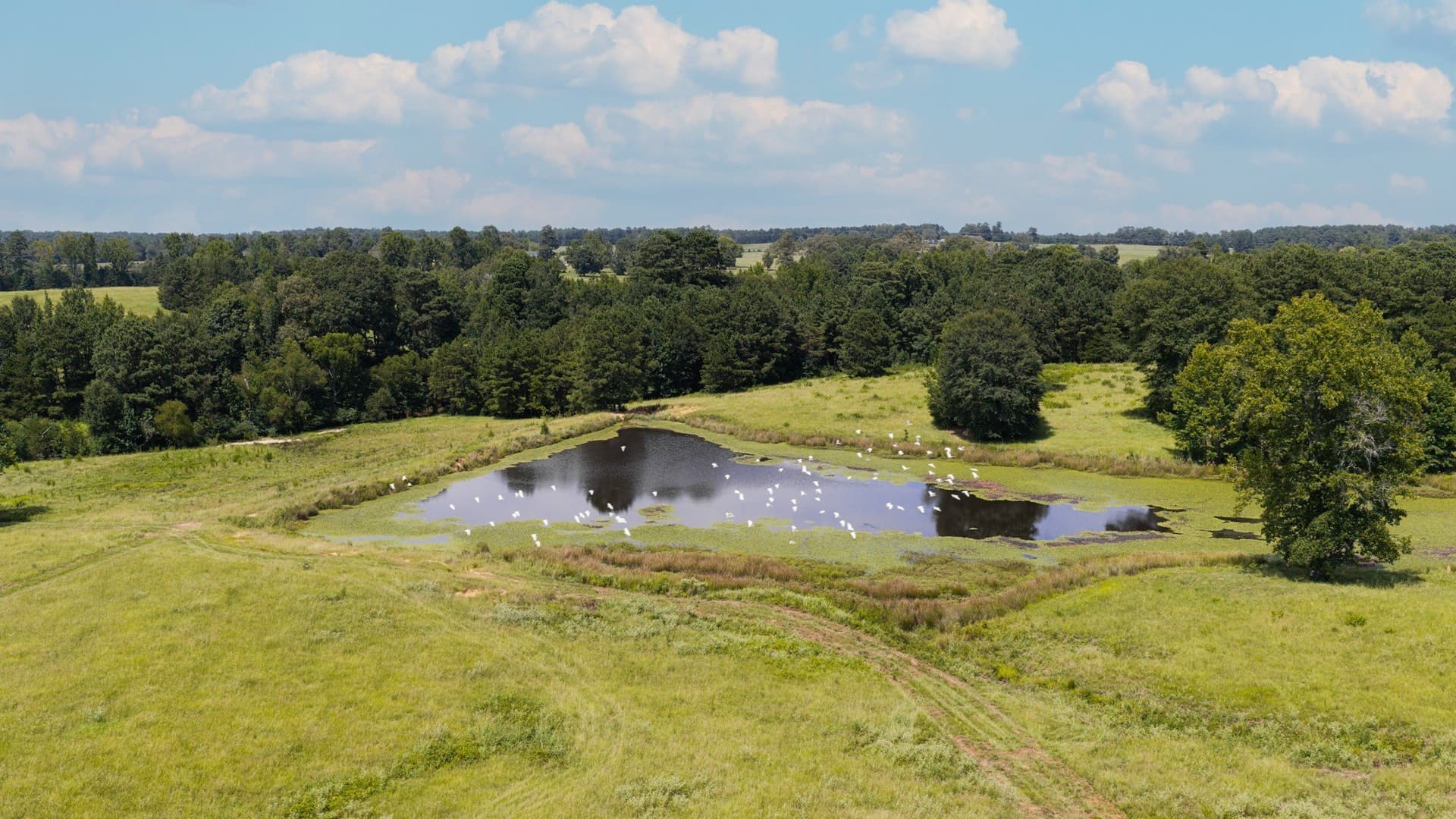 183.02 acres in Cass County gallery image 2