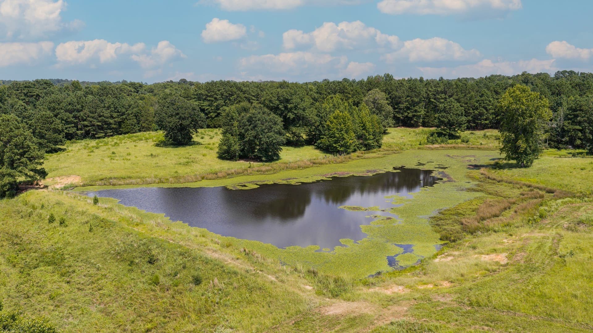 183.02 acres in Cass County - photo 12