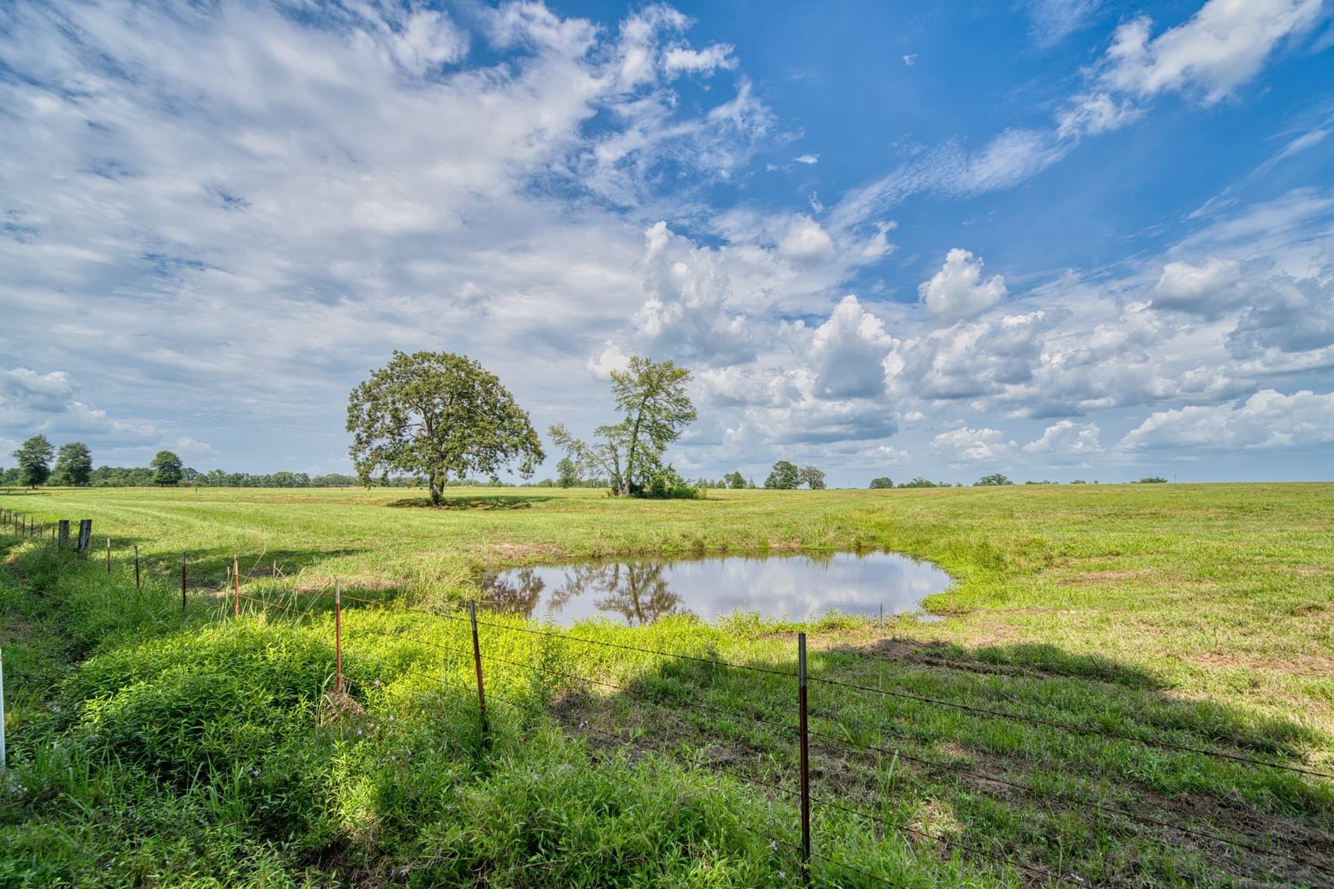 183.02 acres in Cass County - photo 30