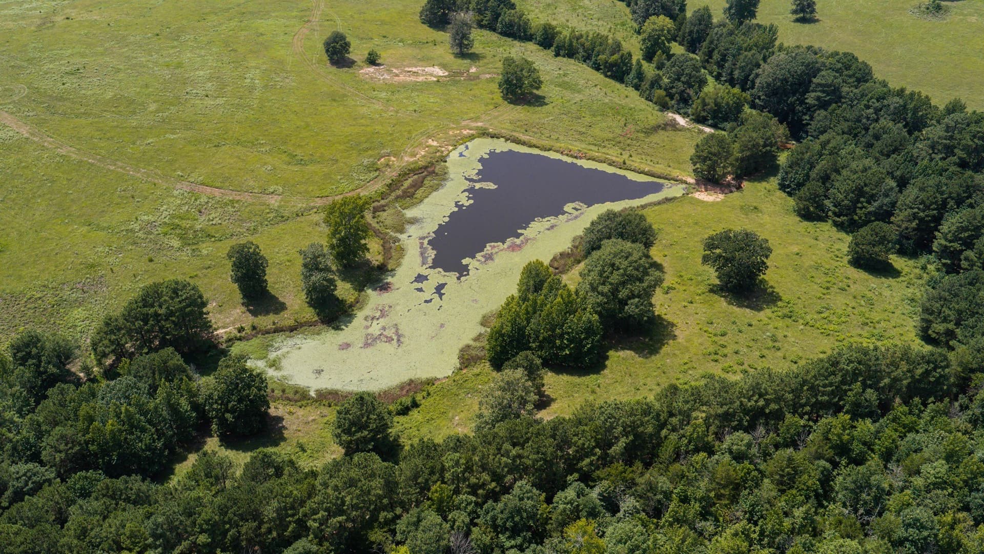 183.02 acres in Cass County - photo 9