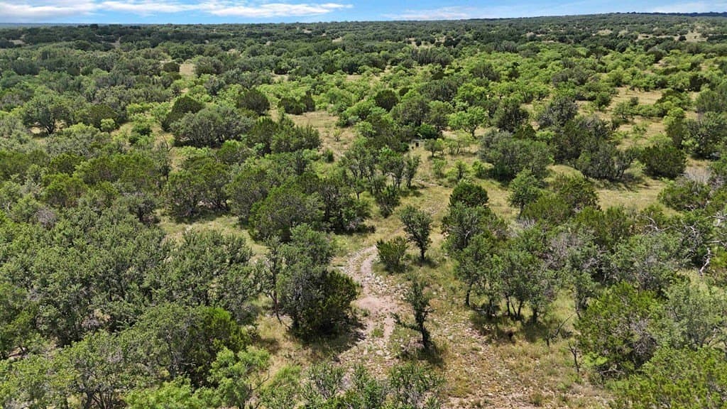39.25 acres in Schleicher County - photo 15