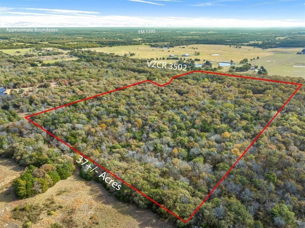 37.17 acres in Van Zandt County gallery image 3