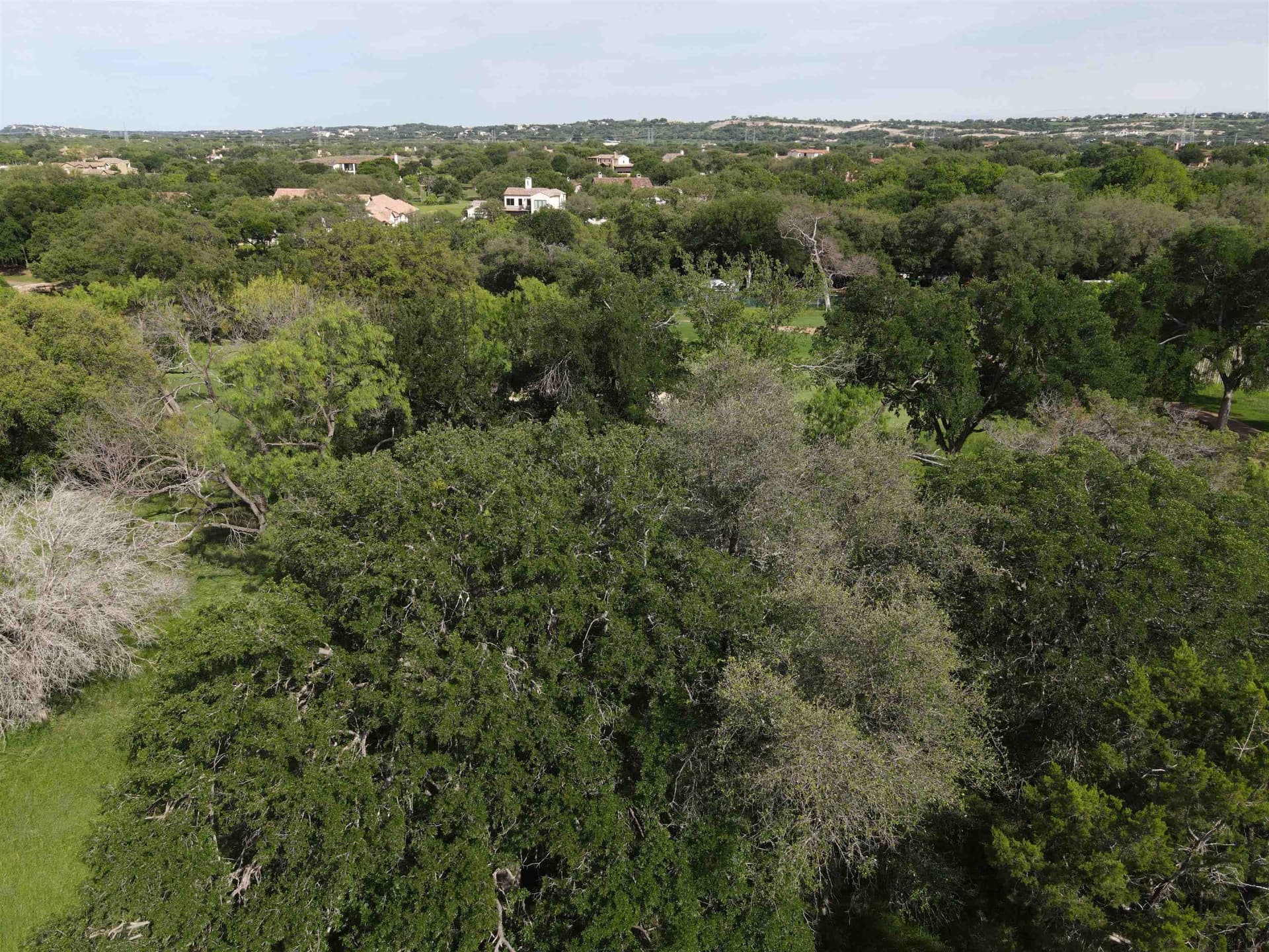 0.3 acres in Llano County - photo 17