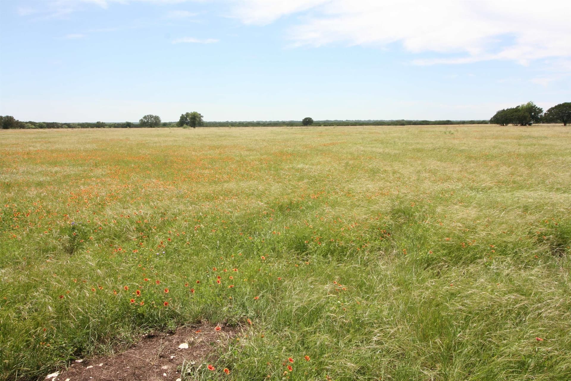 10.25 acres in Burnet County featured view