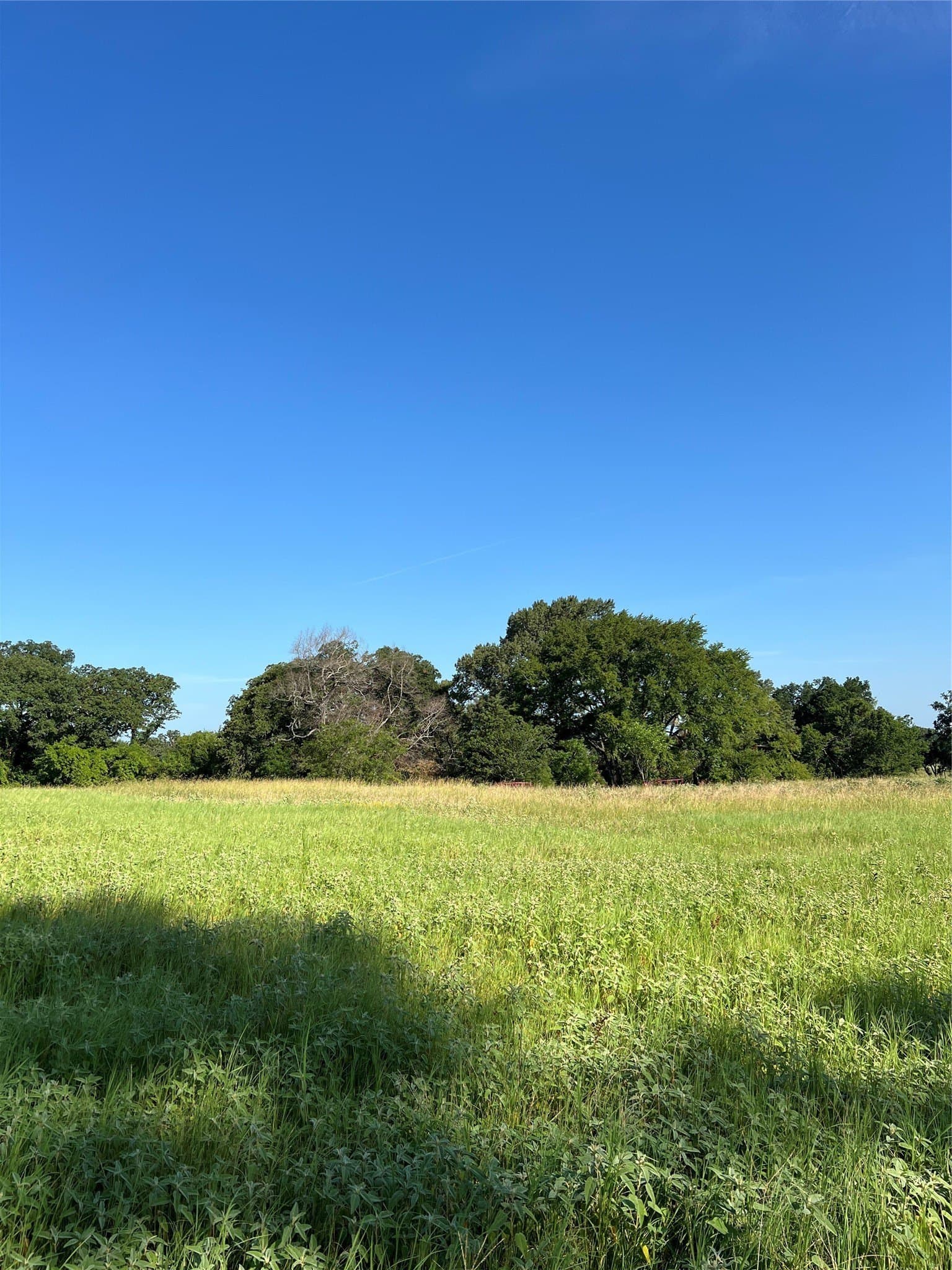 46.89 acres in Smith County - photo 18