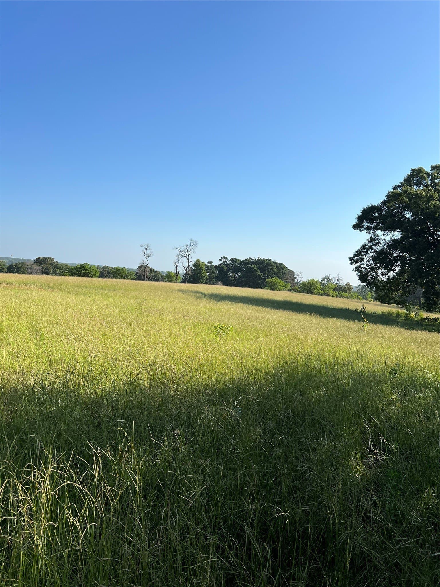 46.89 acres in Smith County - photo 9