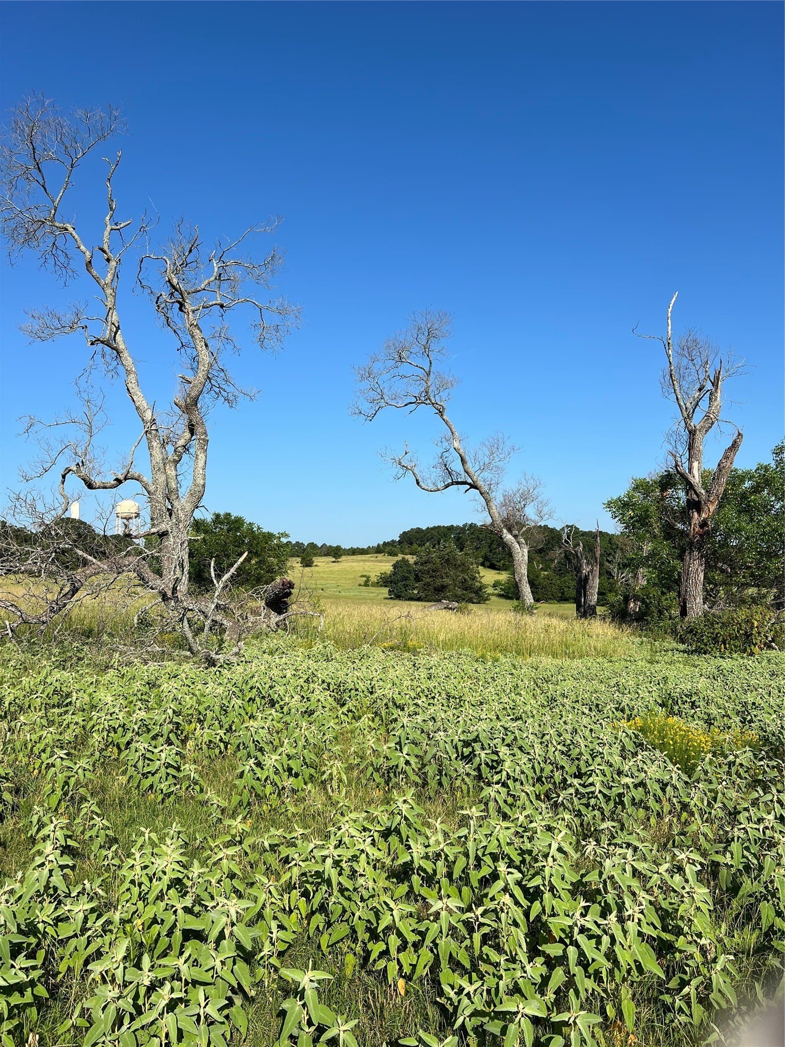 46.89 acres in Smith County - photo 11