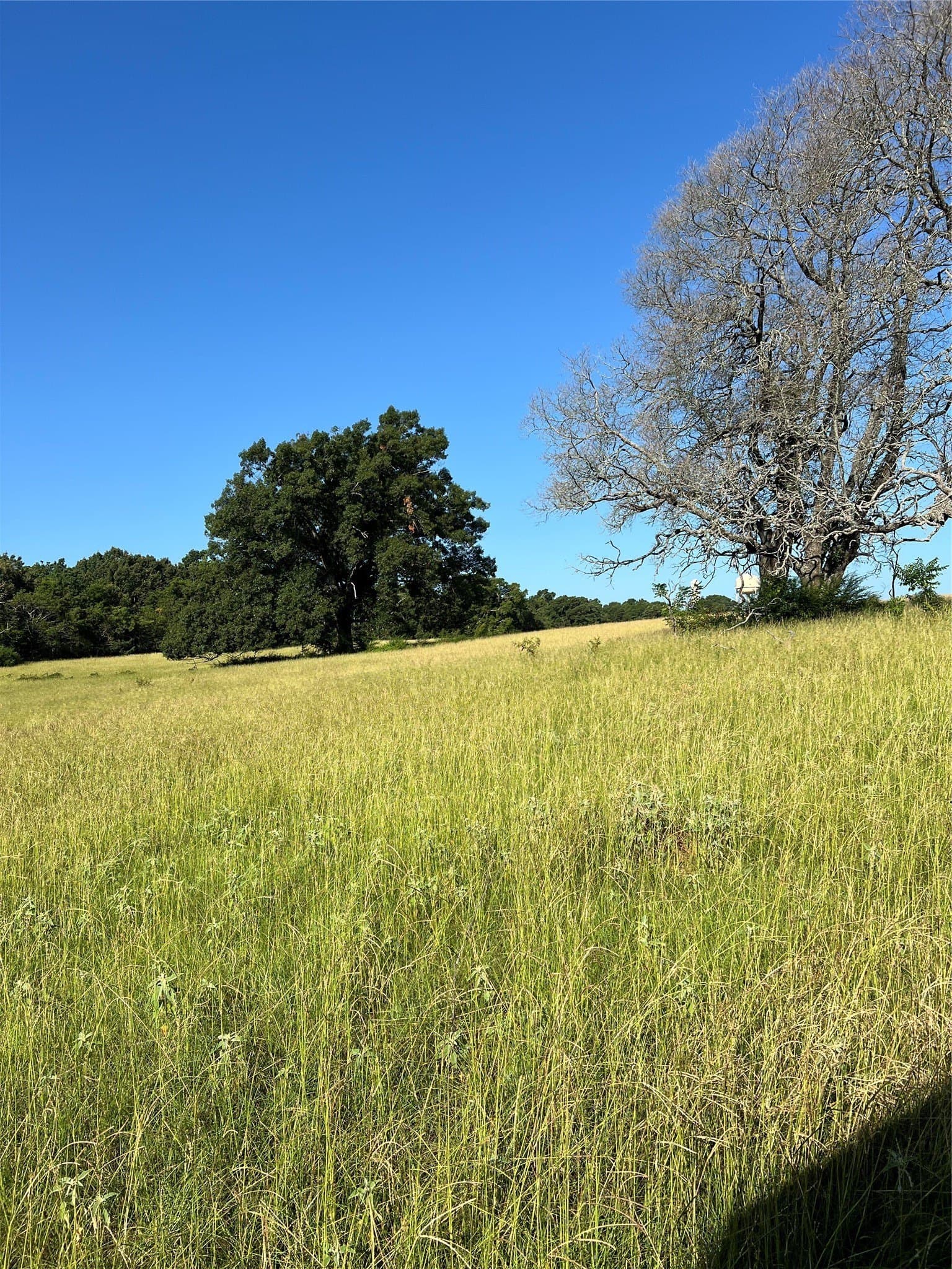 46.89 acres in Smith County - photo 15