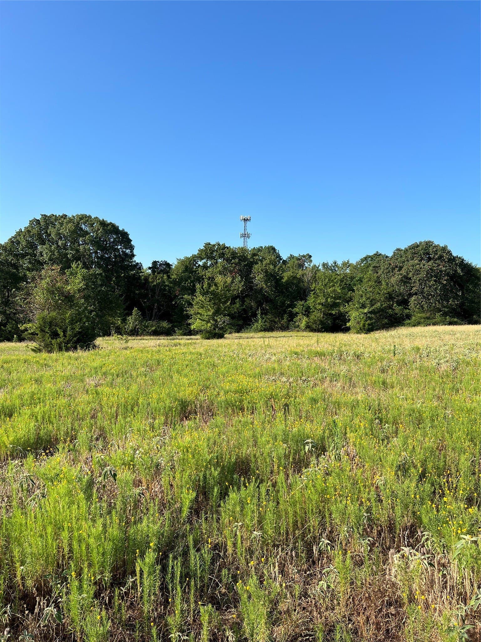 46.89 acres in Smith County - photo 7