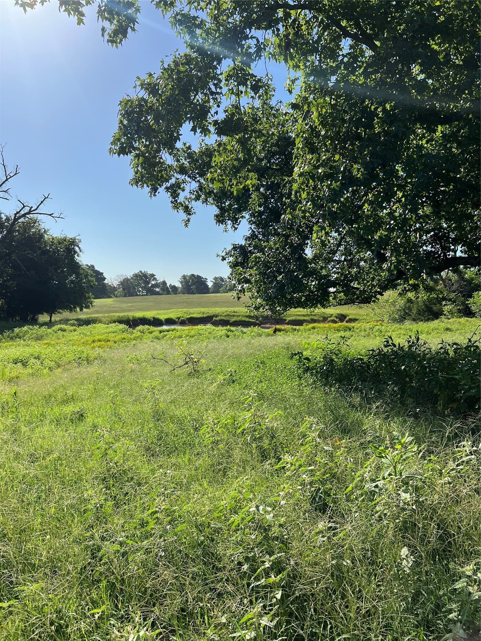 46.89 acres in Smith County - photo 20