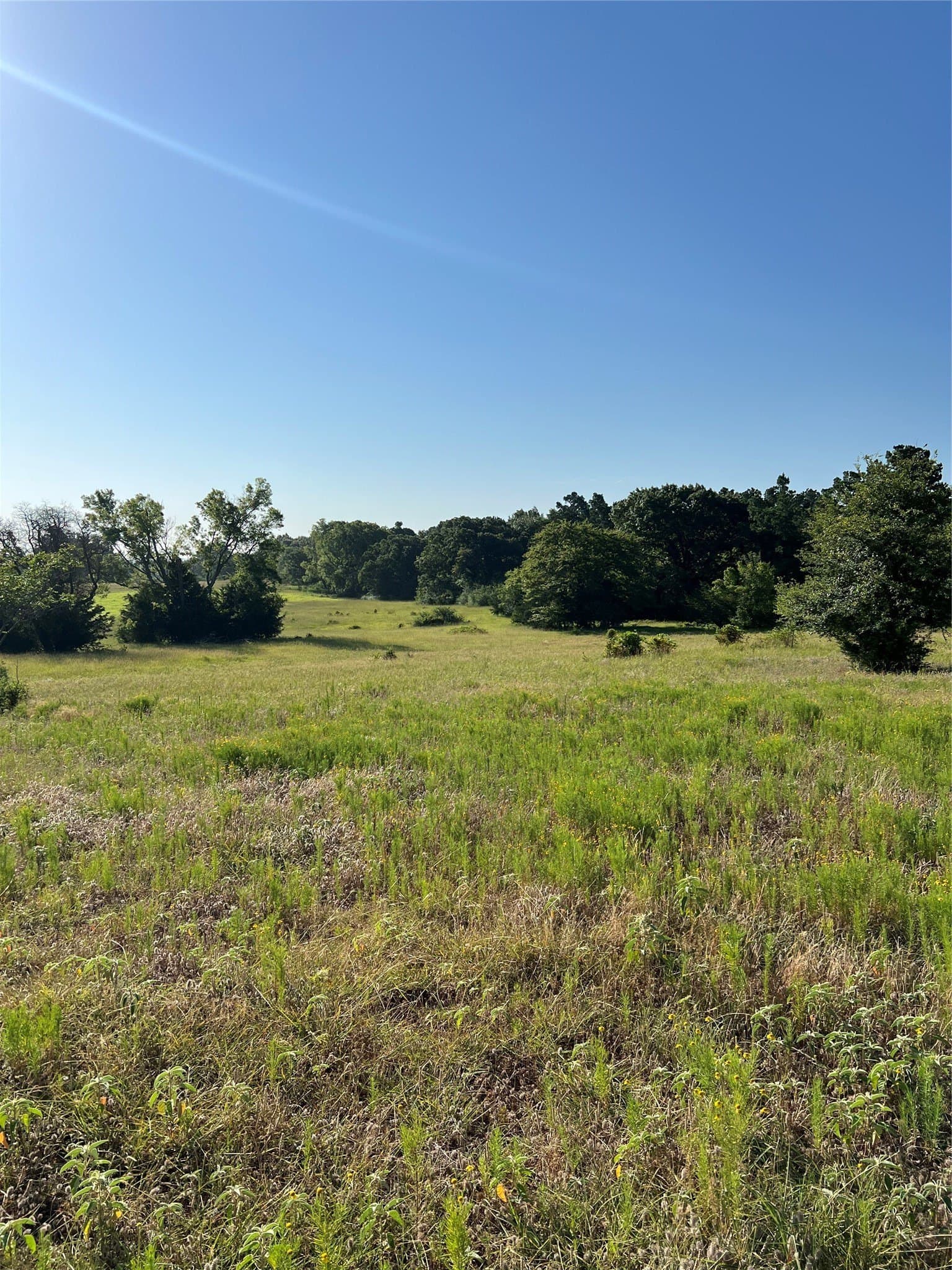 46.89 acres in Smith County - photo 5