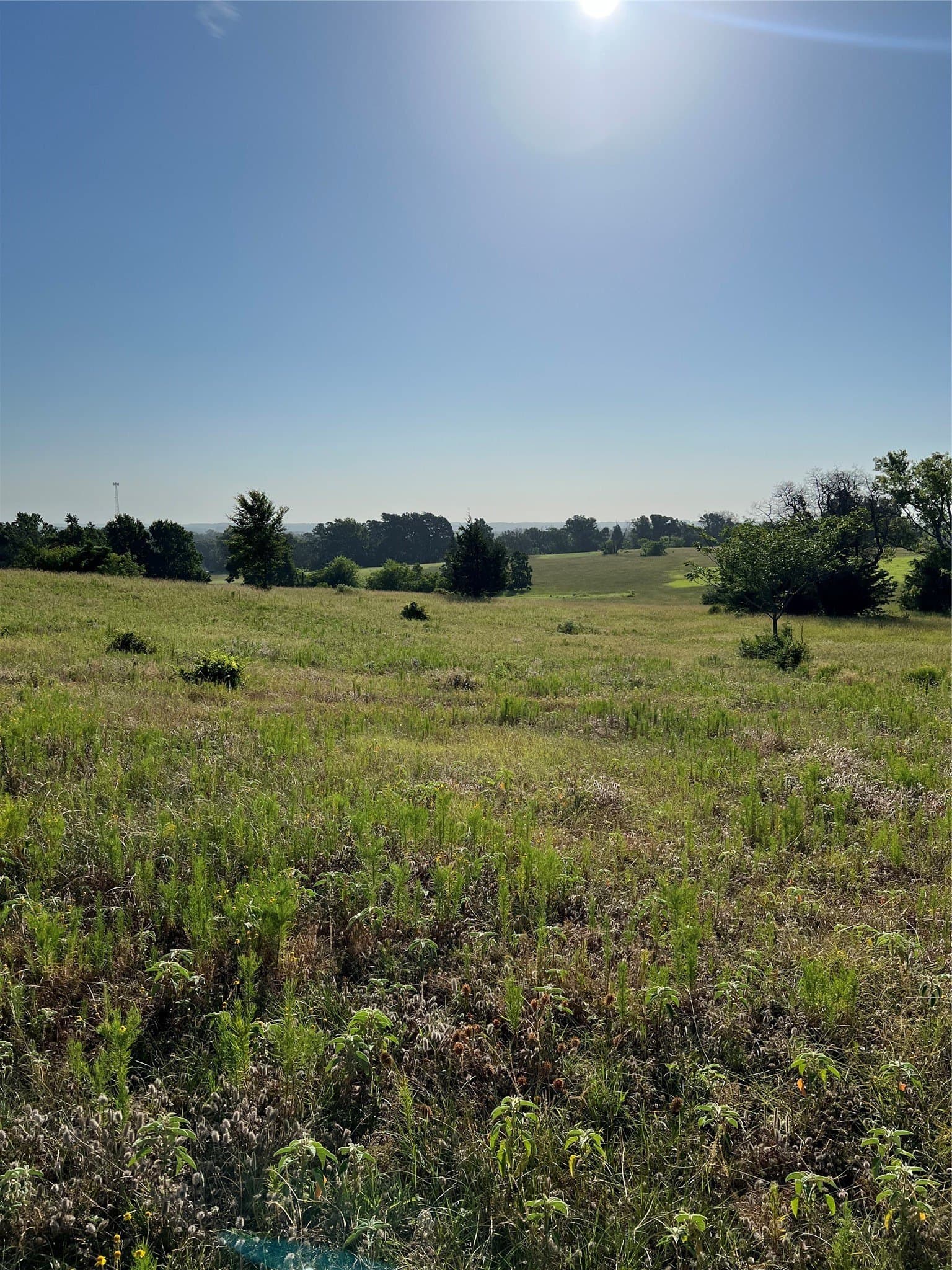 46.89 acres in Smith County - photo 6