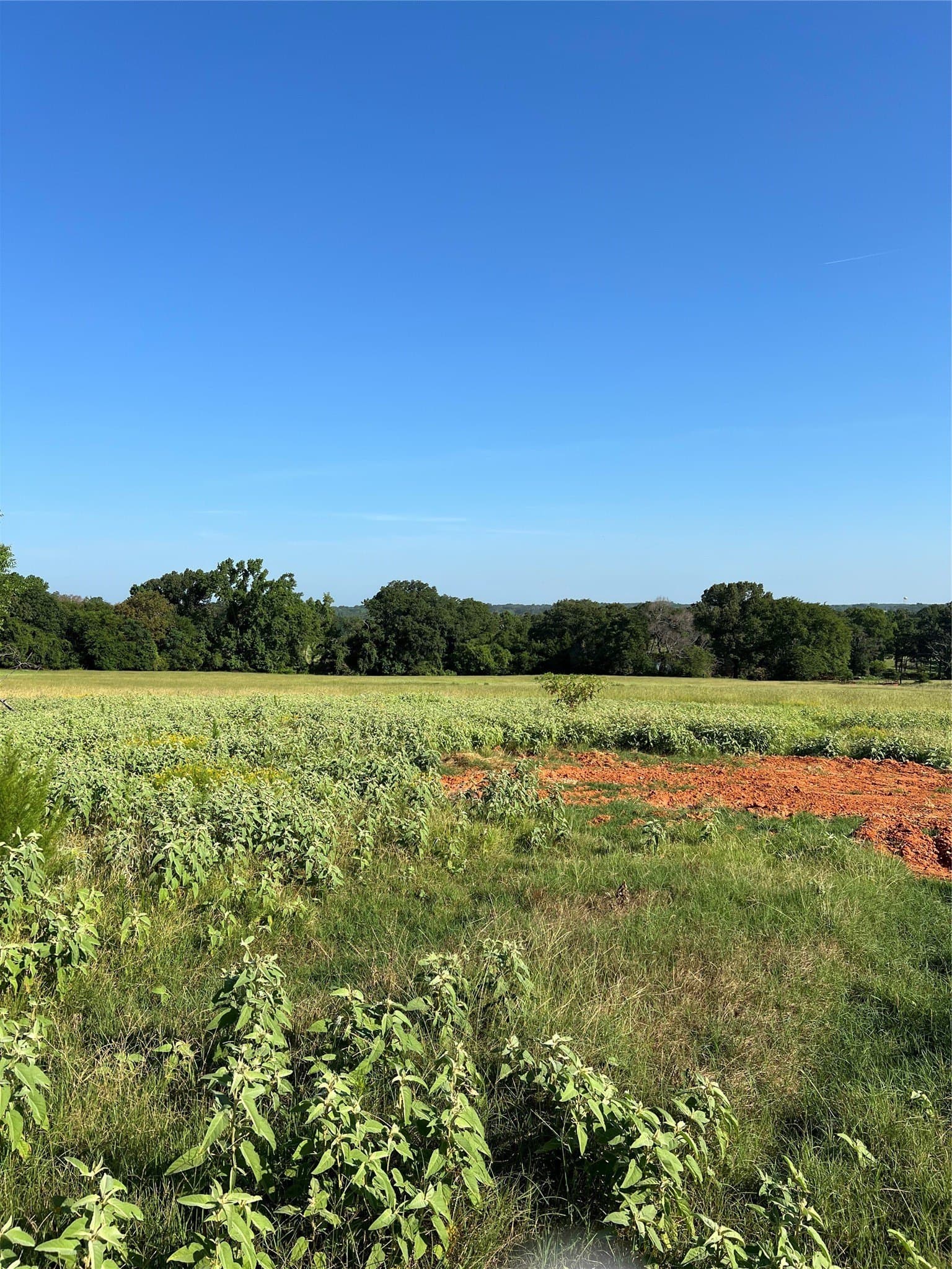 46.89 acres in Smith County - photo 17